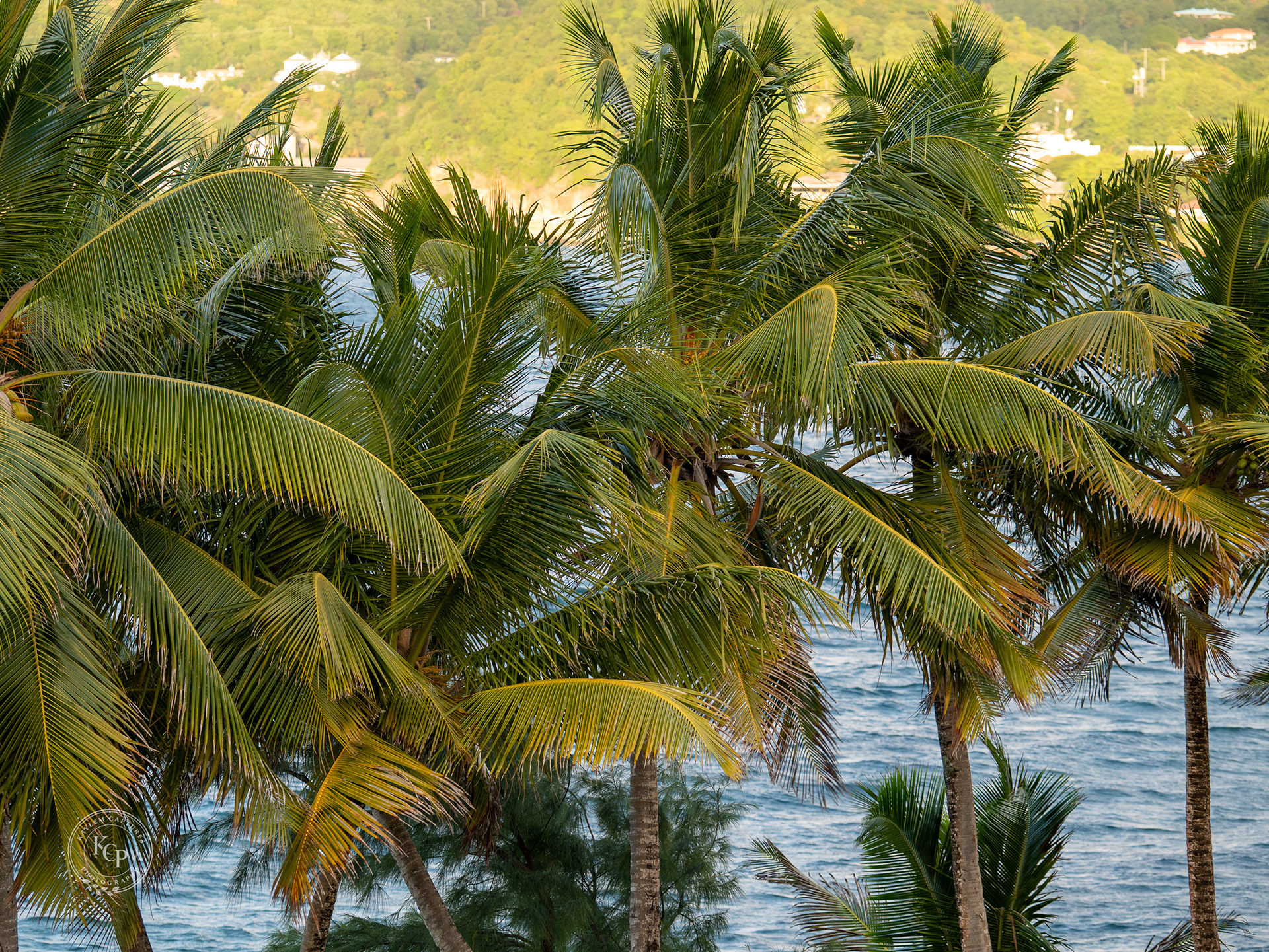 Captured in St Lucia