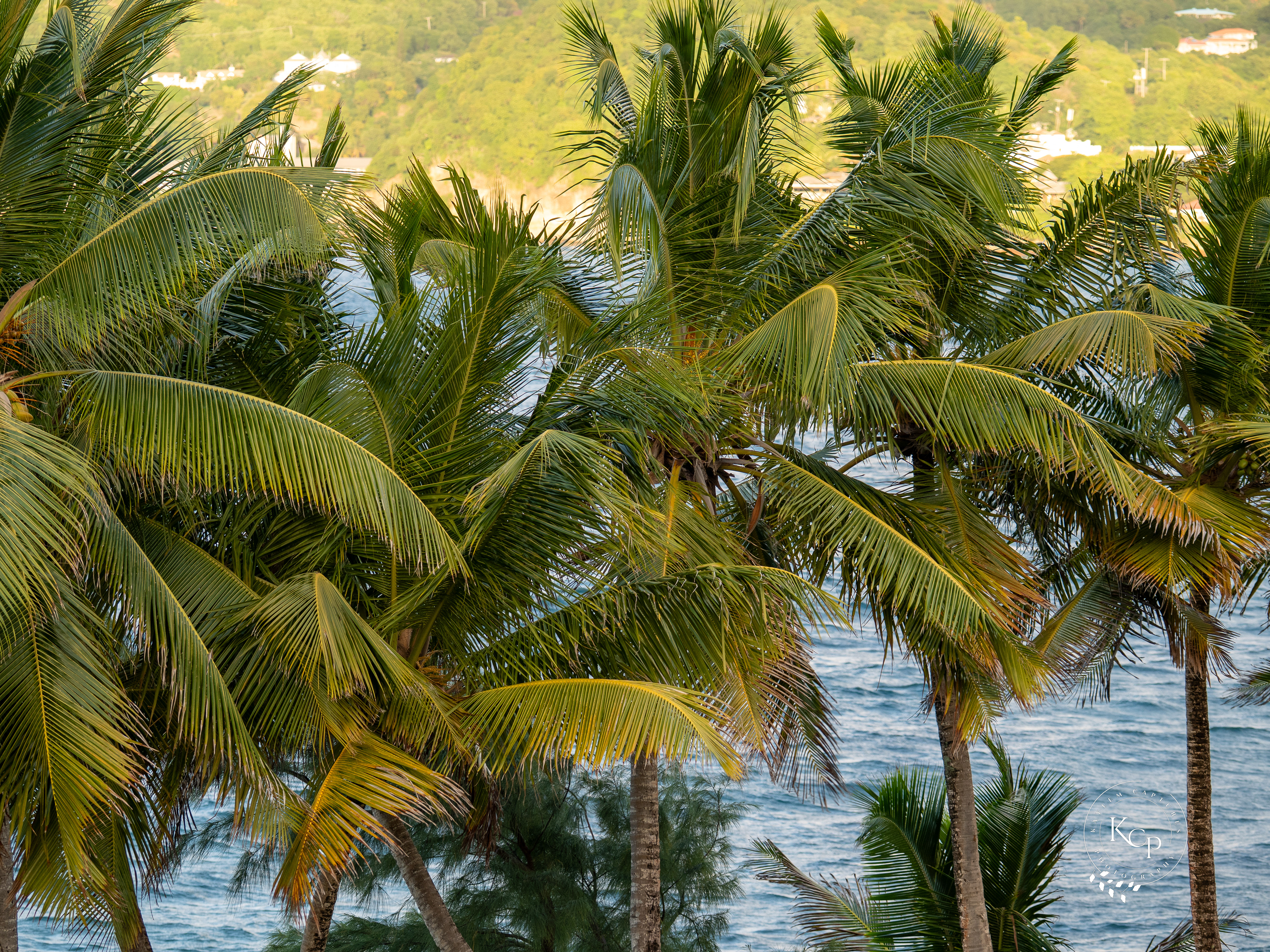 Captured in St Lucia 2024
