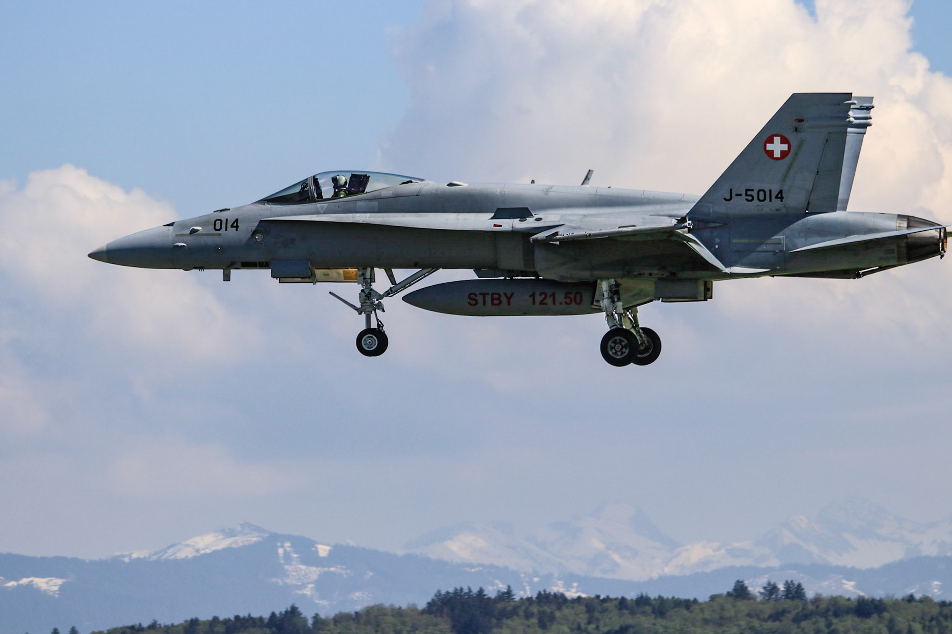 Boeing F/A-18C (Swiss Air Force) - J-5014