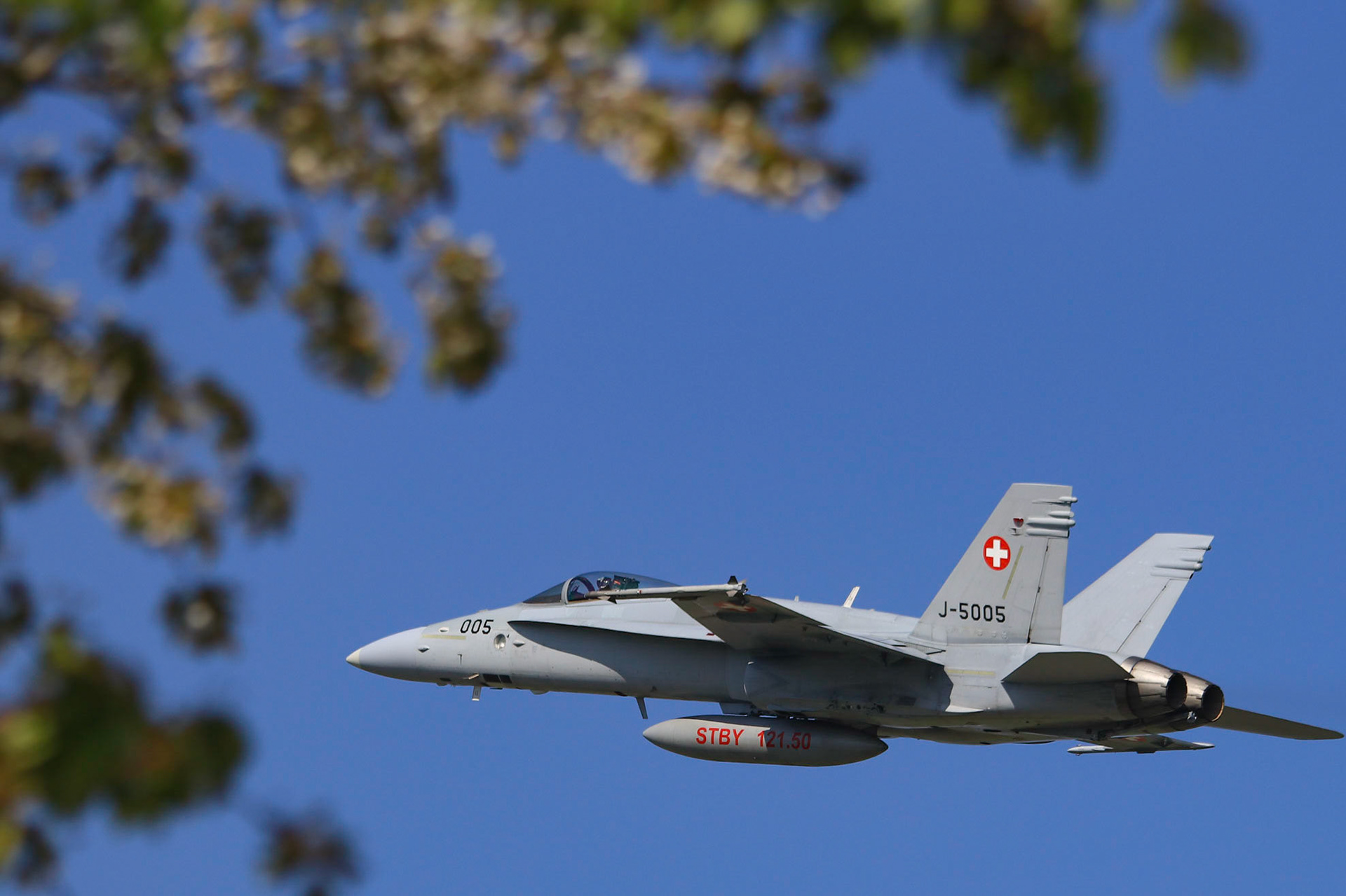 Boeing F/A-18C (Swiss Air Force) - J-5005
