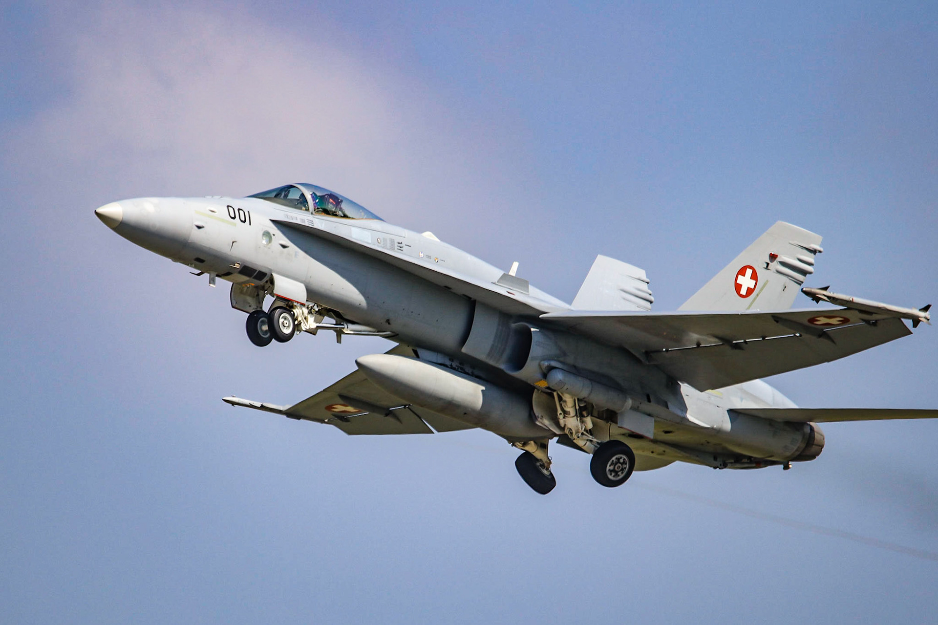 Boeing F/A-18C (Swiss Air Force) - J-5001