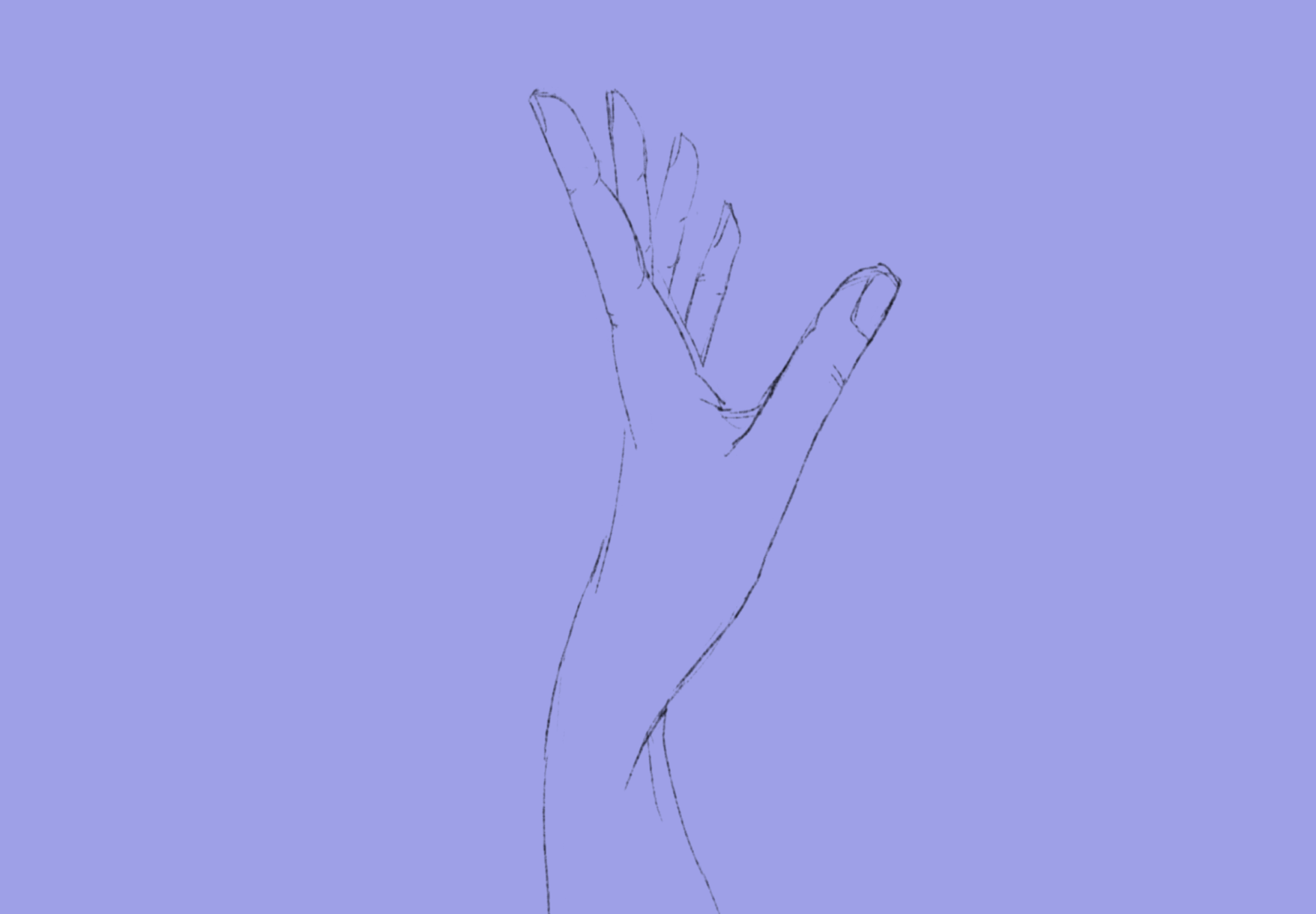 A 2D study of my own hand