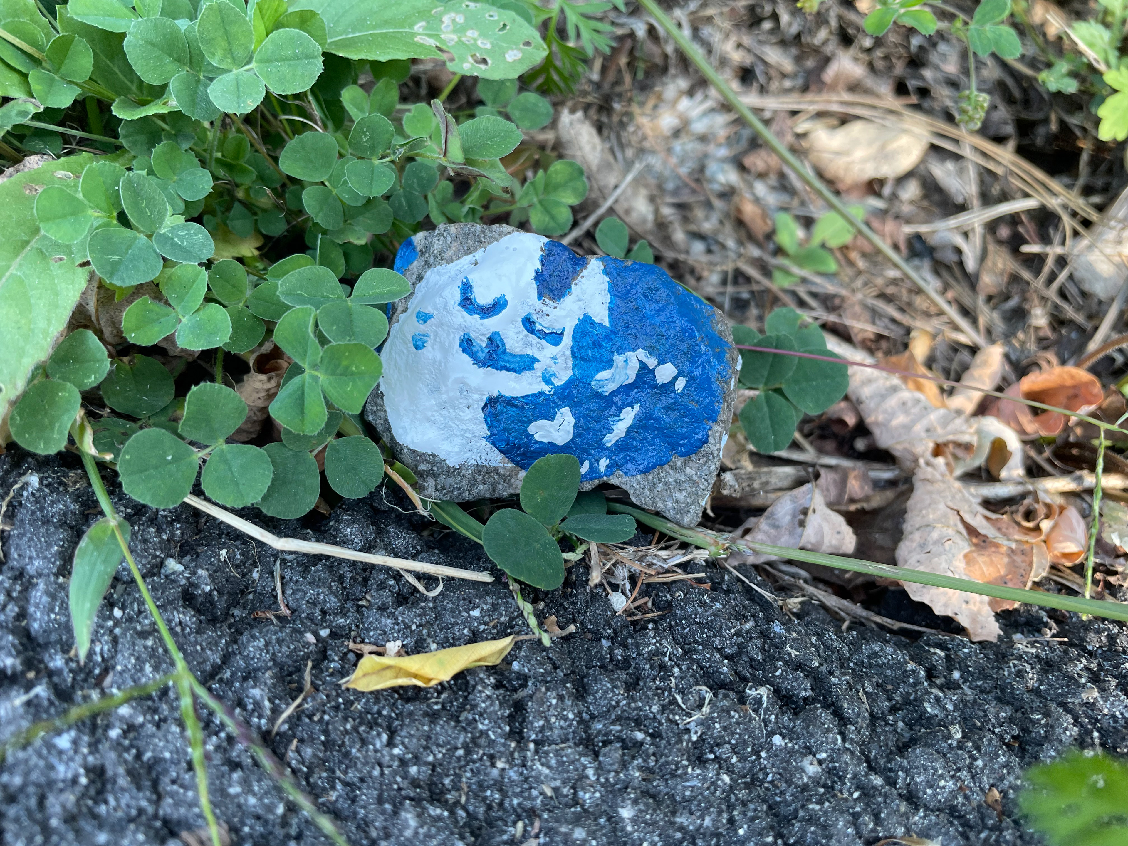 A light to medium blue Ying Yang Cat Rock for Rocco: Help the rock grow down the Walking trail.