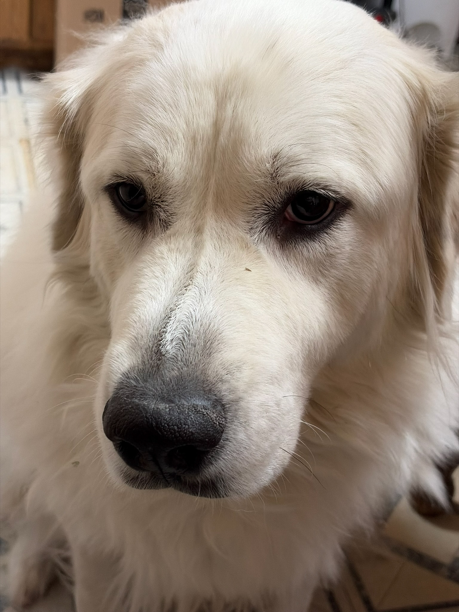 Sadie's eyes
