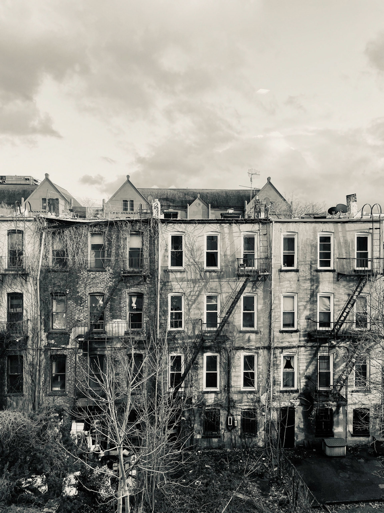 NYC and D.C. 2022