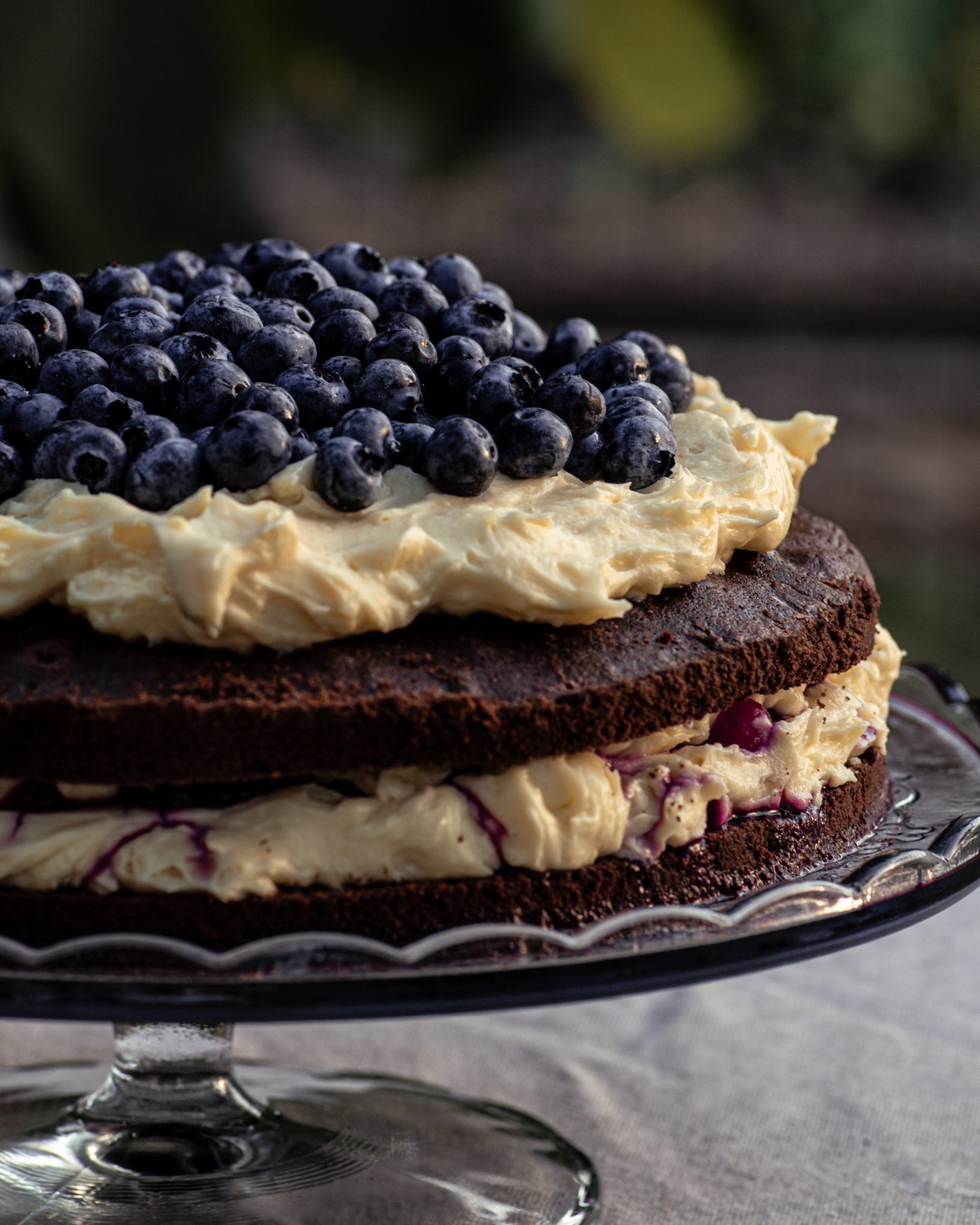 brownie cake with vanilla cream and blueberries