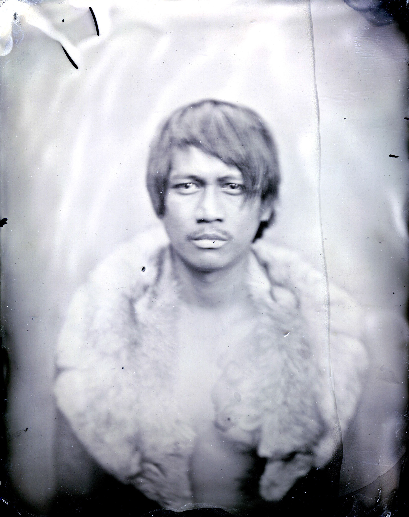 Lotus Josephine