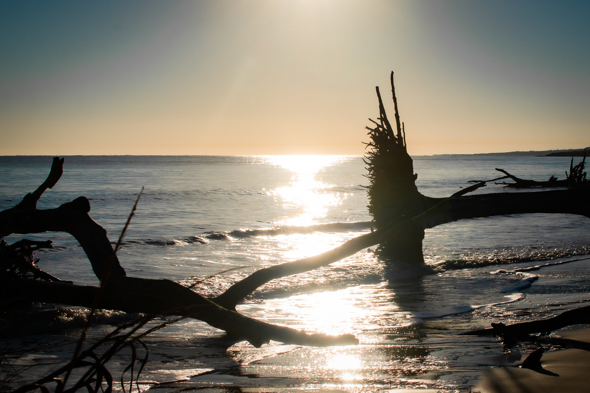 Big Talbot Island State Park