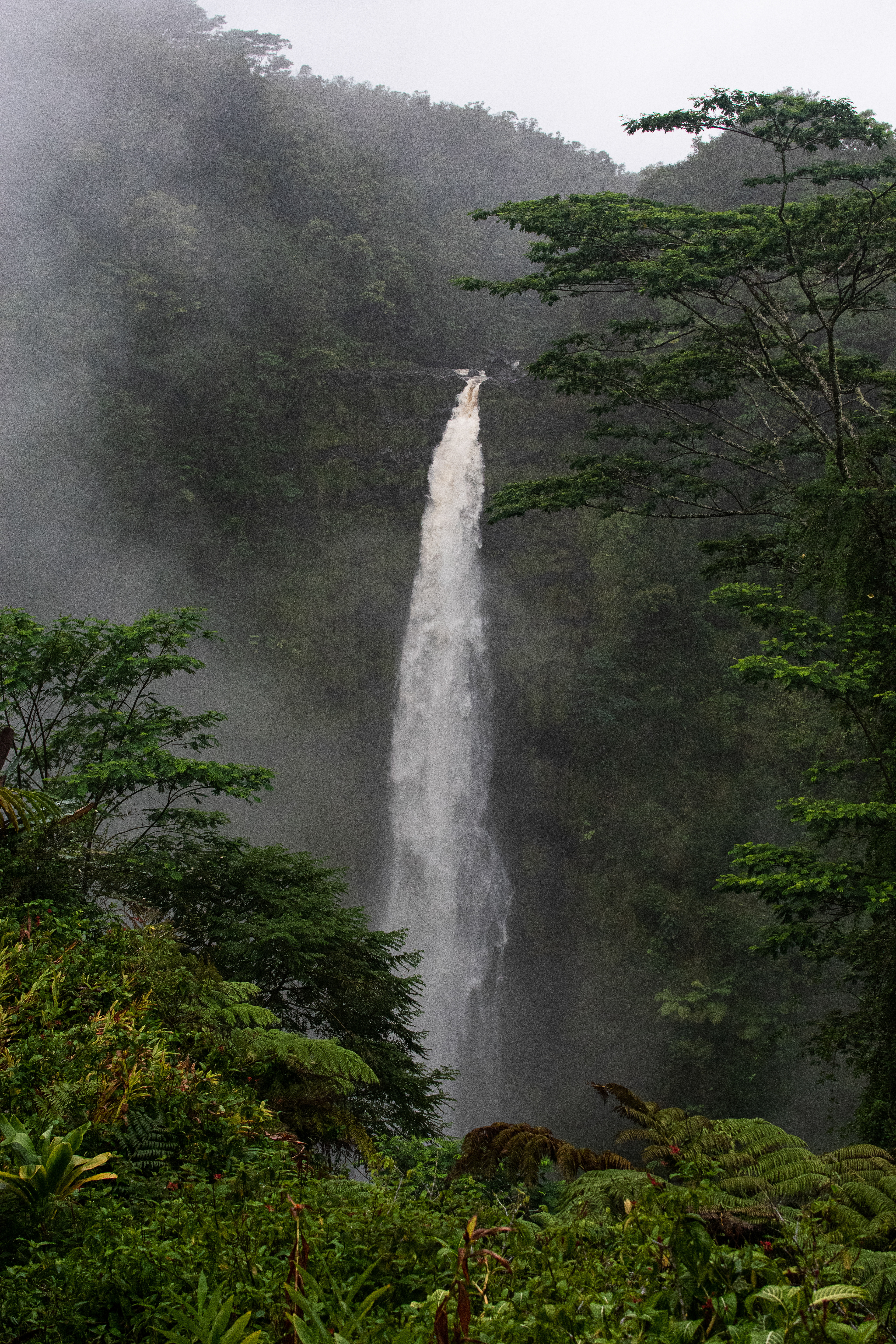 Kakeha Falls