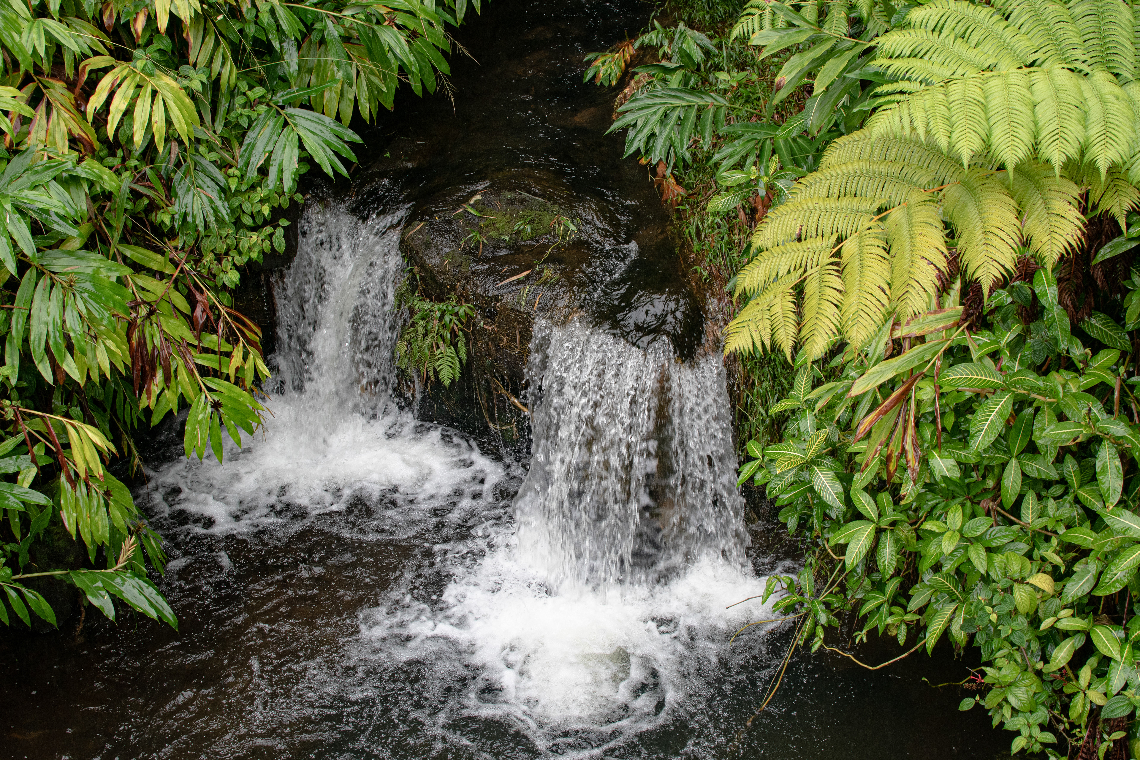 Kakeha Falls