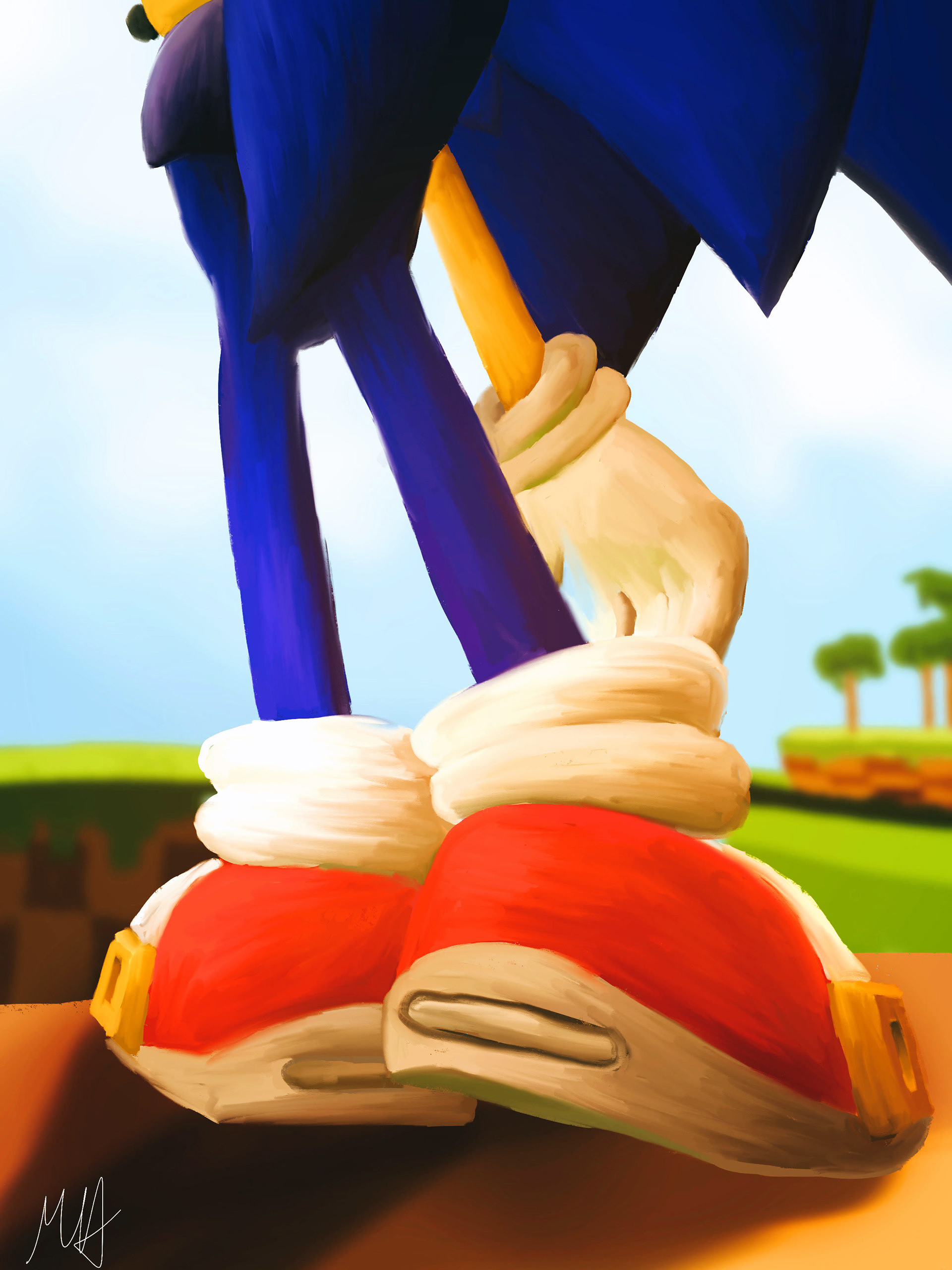Sonic the Hedgehog overlooking Green Hill Zone.