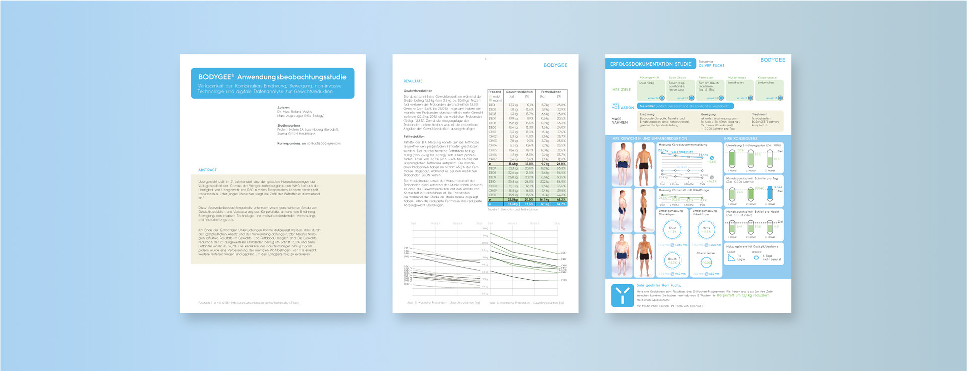 Auswertung Studie drei Seiten mit infografischen Diagrammen