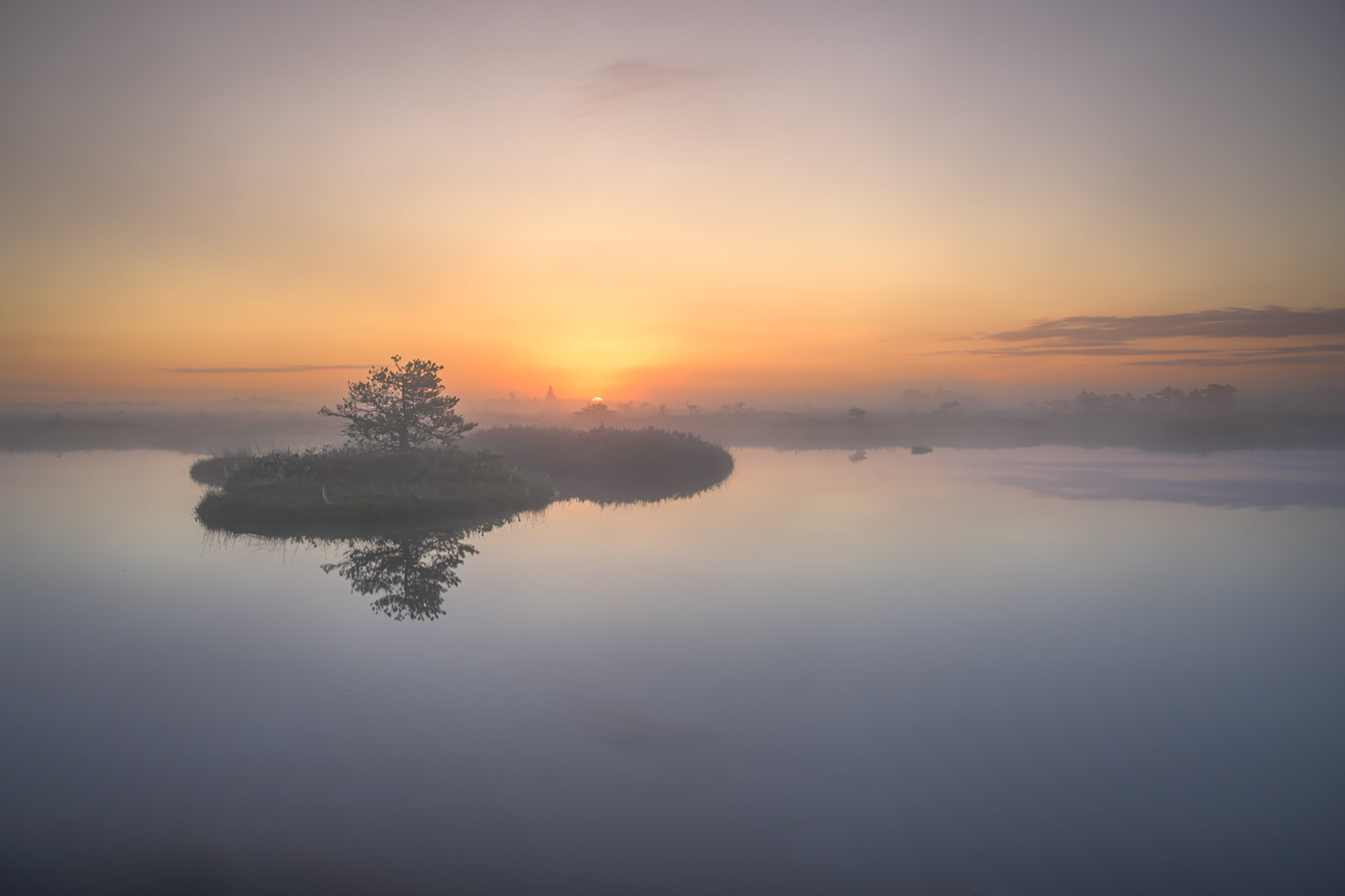 Sunrise at Marimetsa bog / Päikesetõus Marimetsa rabas