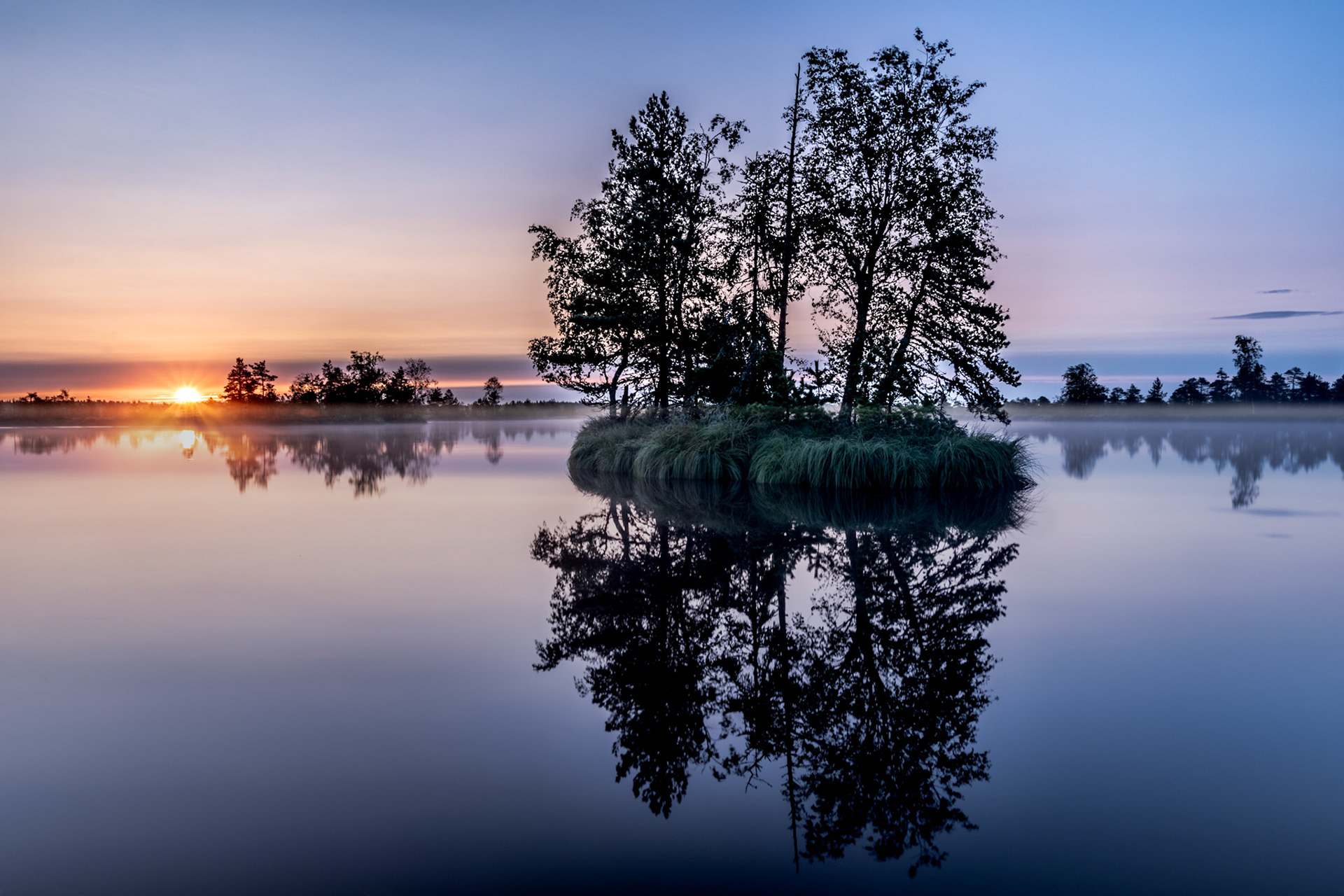 Sunrise in bog / Päiksetõus rabas