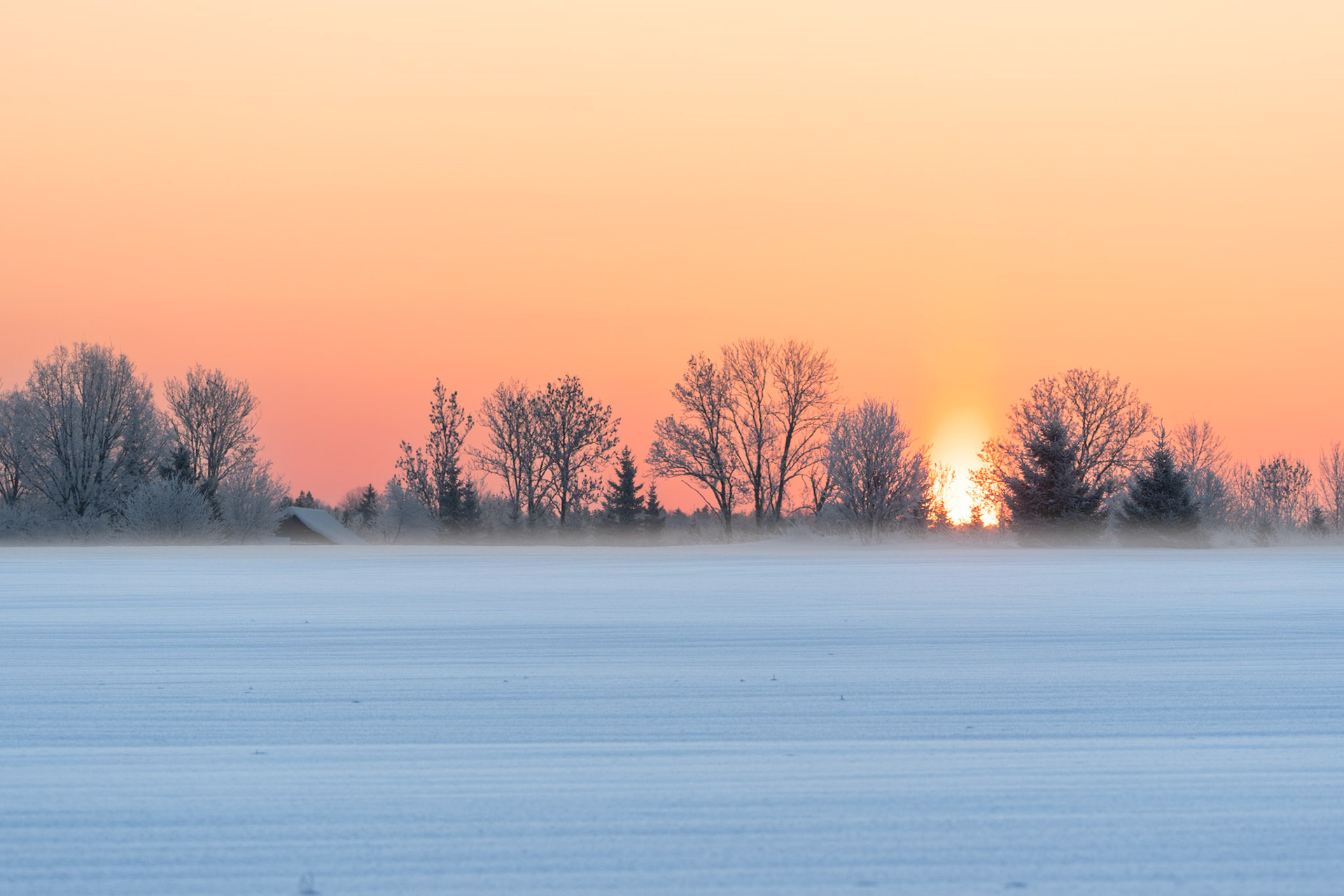 Warmth of a cold winter / Külma talve soojus
