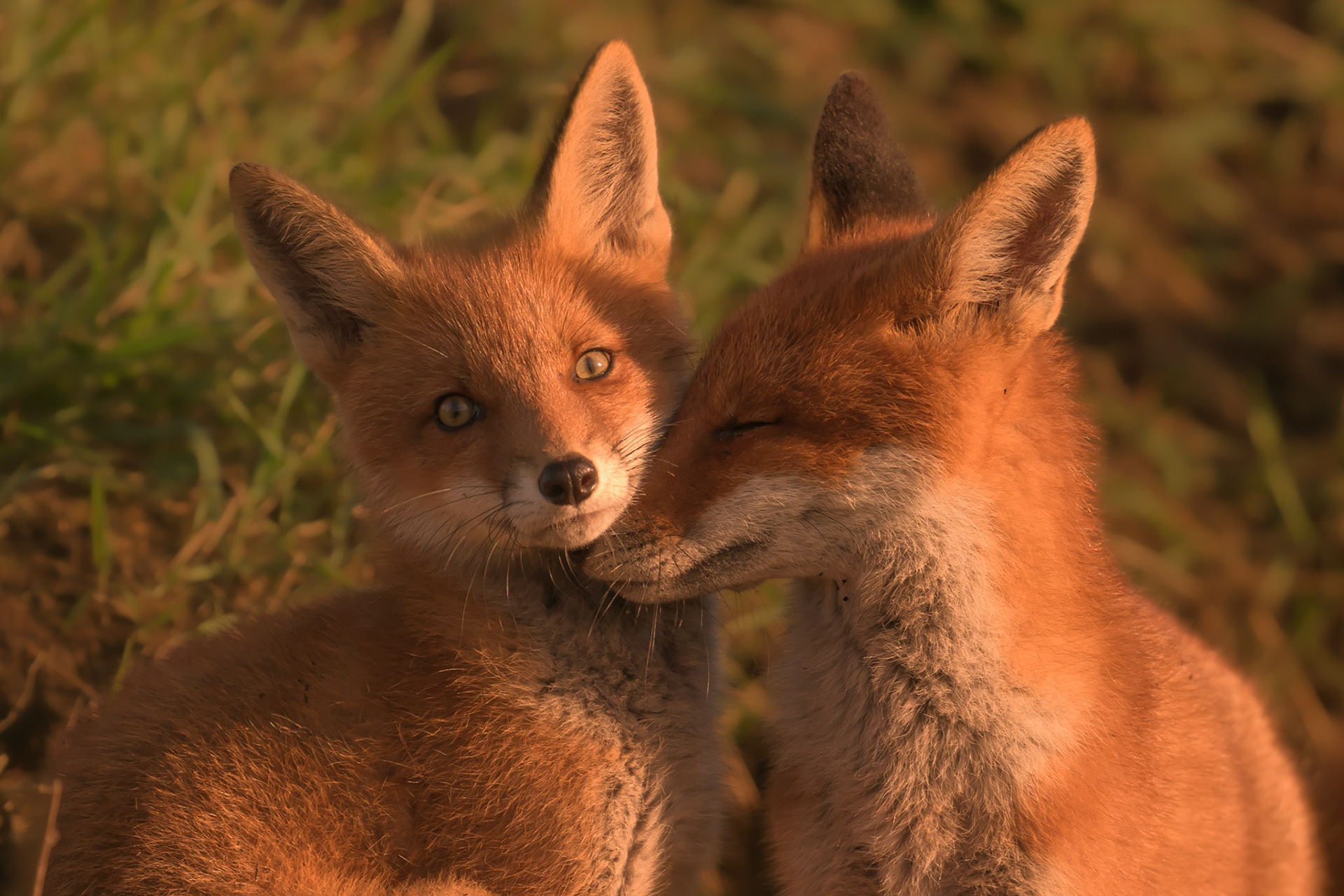 A moment of tenderness / Lembushetk