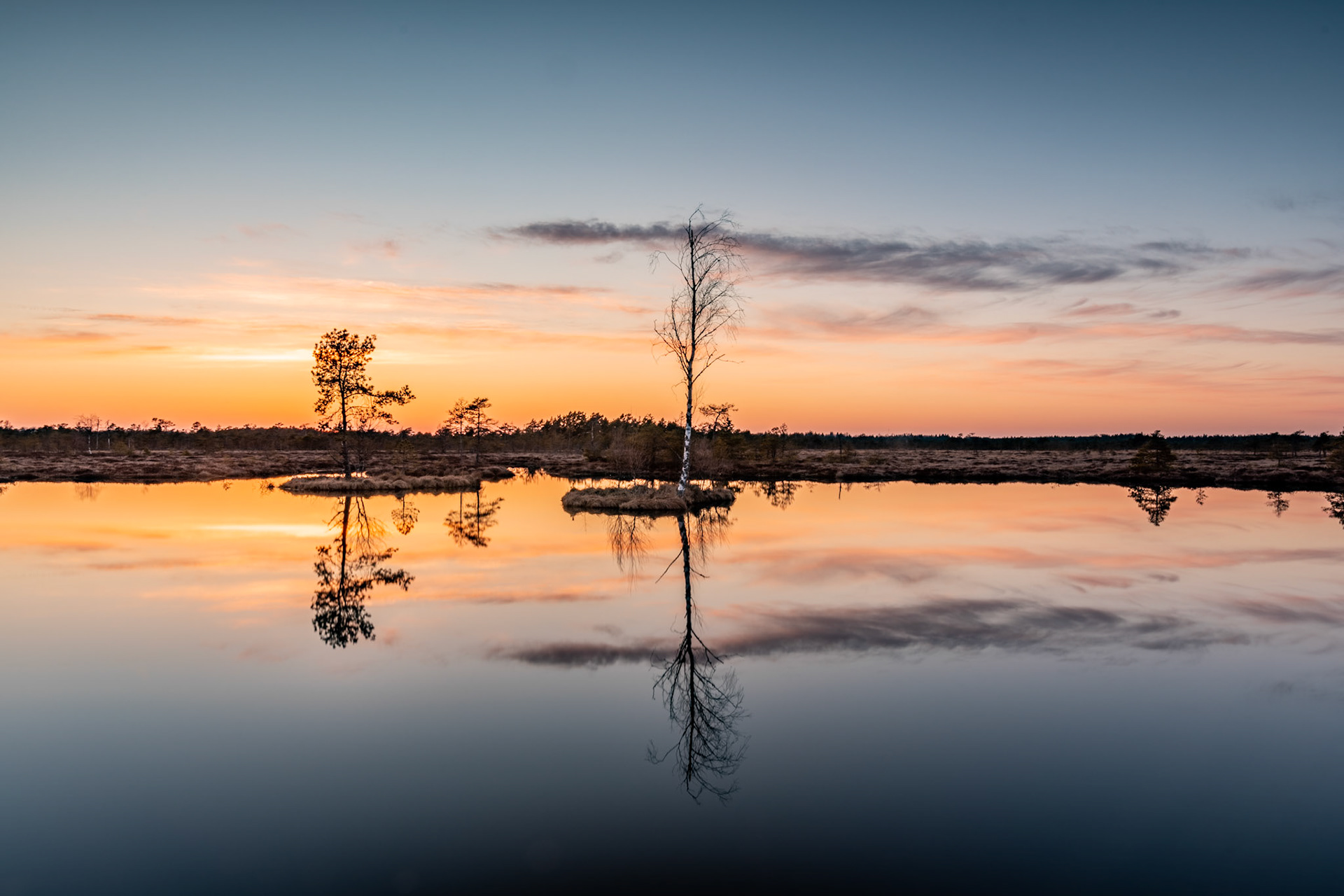 Bog lake at sunset / Rabajärv loojangul