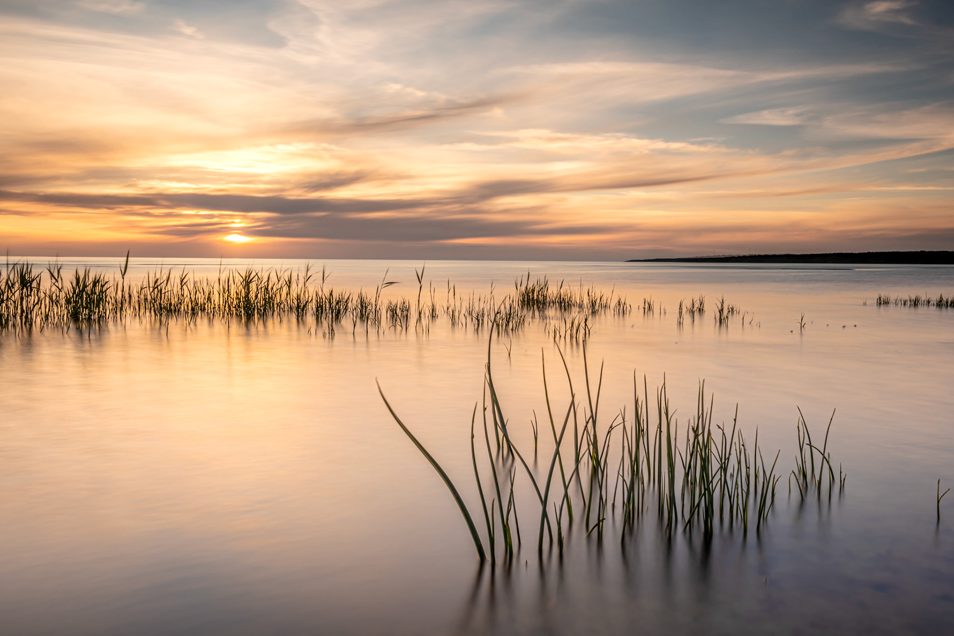 Green in a shallow / Rohelus madalikus