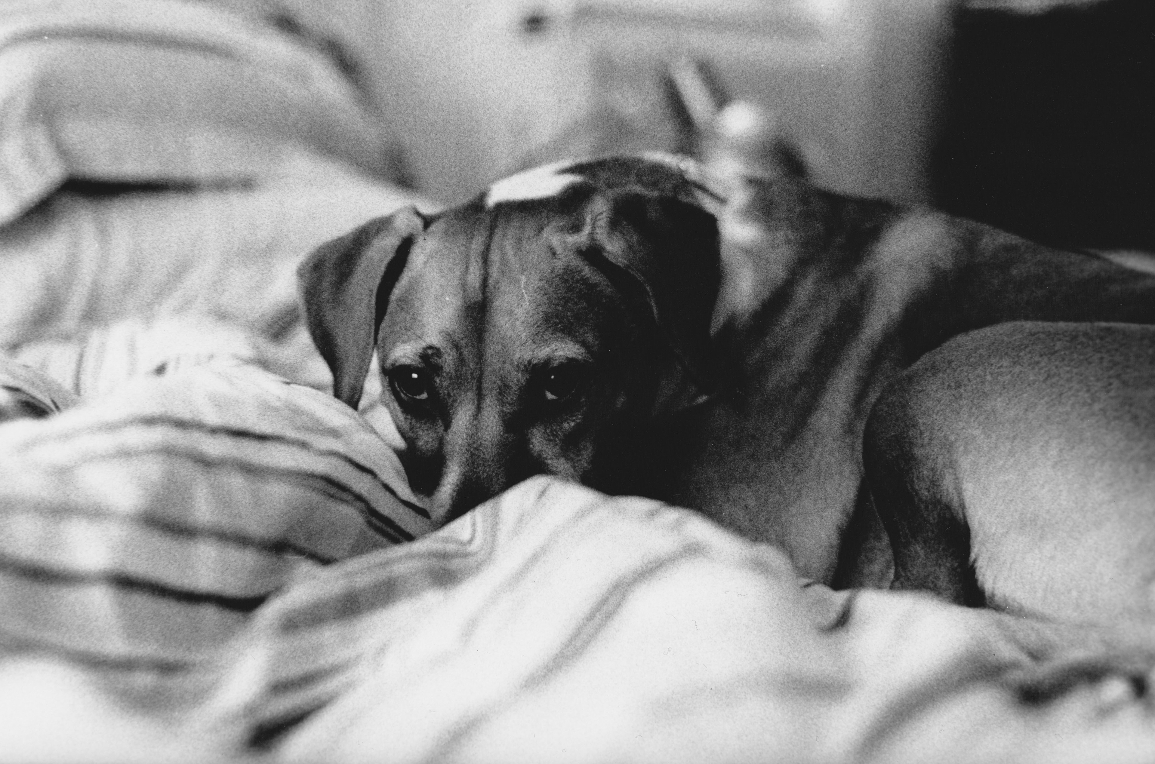 film