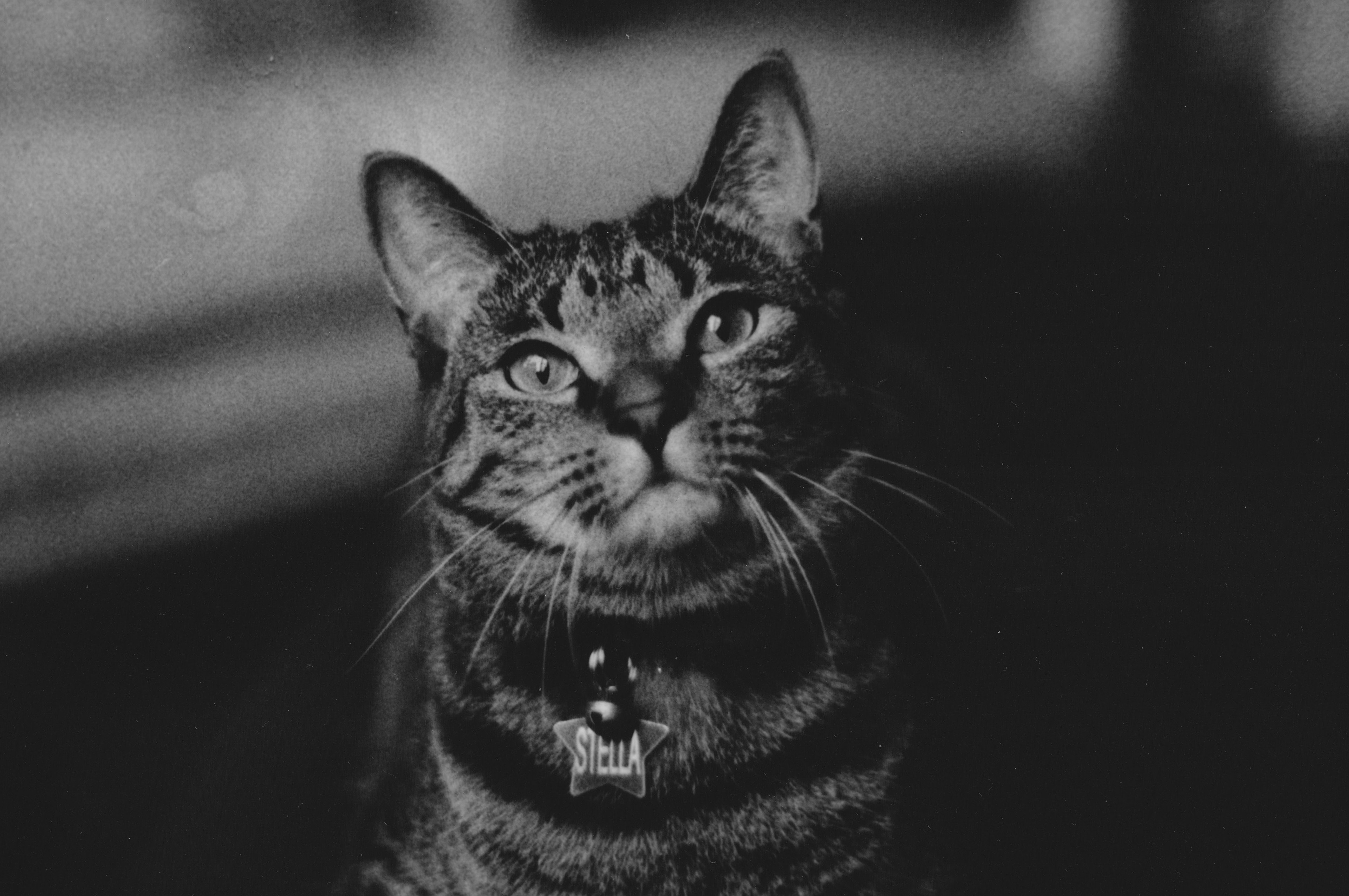 film