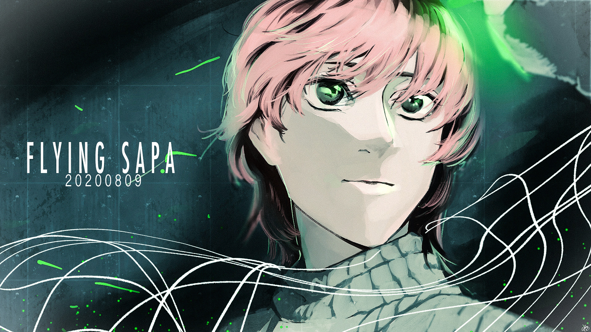 fanart FLYNG SAPA