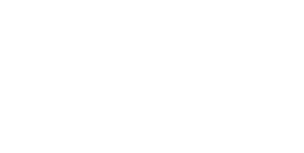 302Schatz