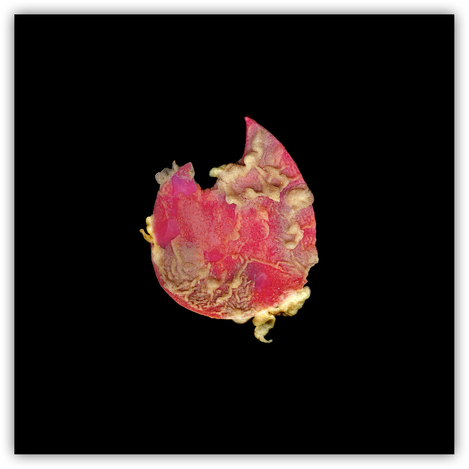 Mirko Credito Tinder-logo-fried-art-Mirko-Credito-Giclée-Print