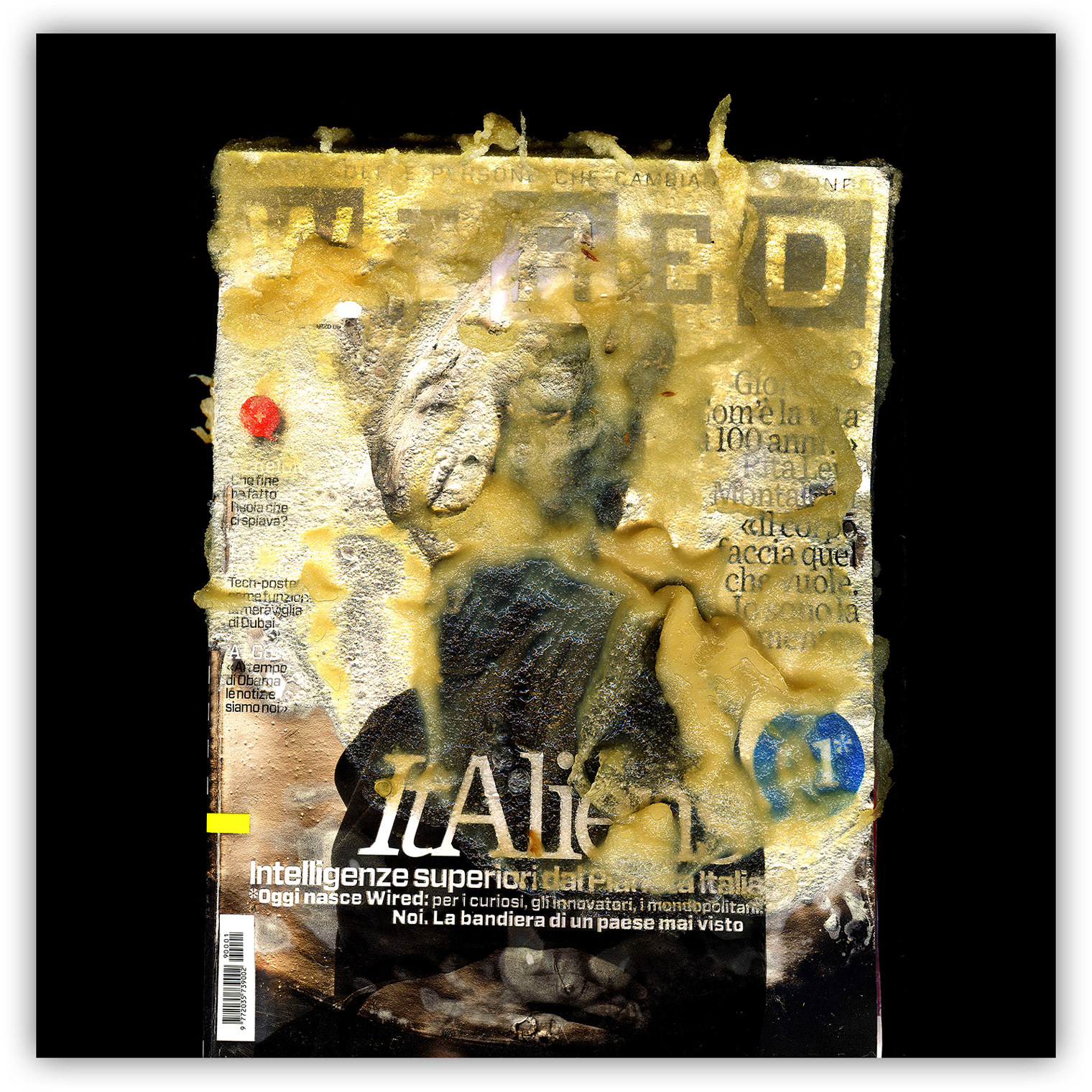 Mirko Credito Wired-fried-art-Mirko-Credito-Giclée-Print