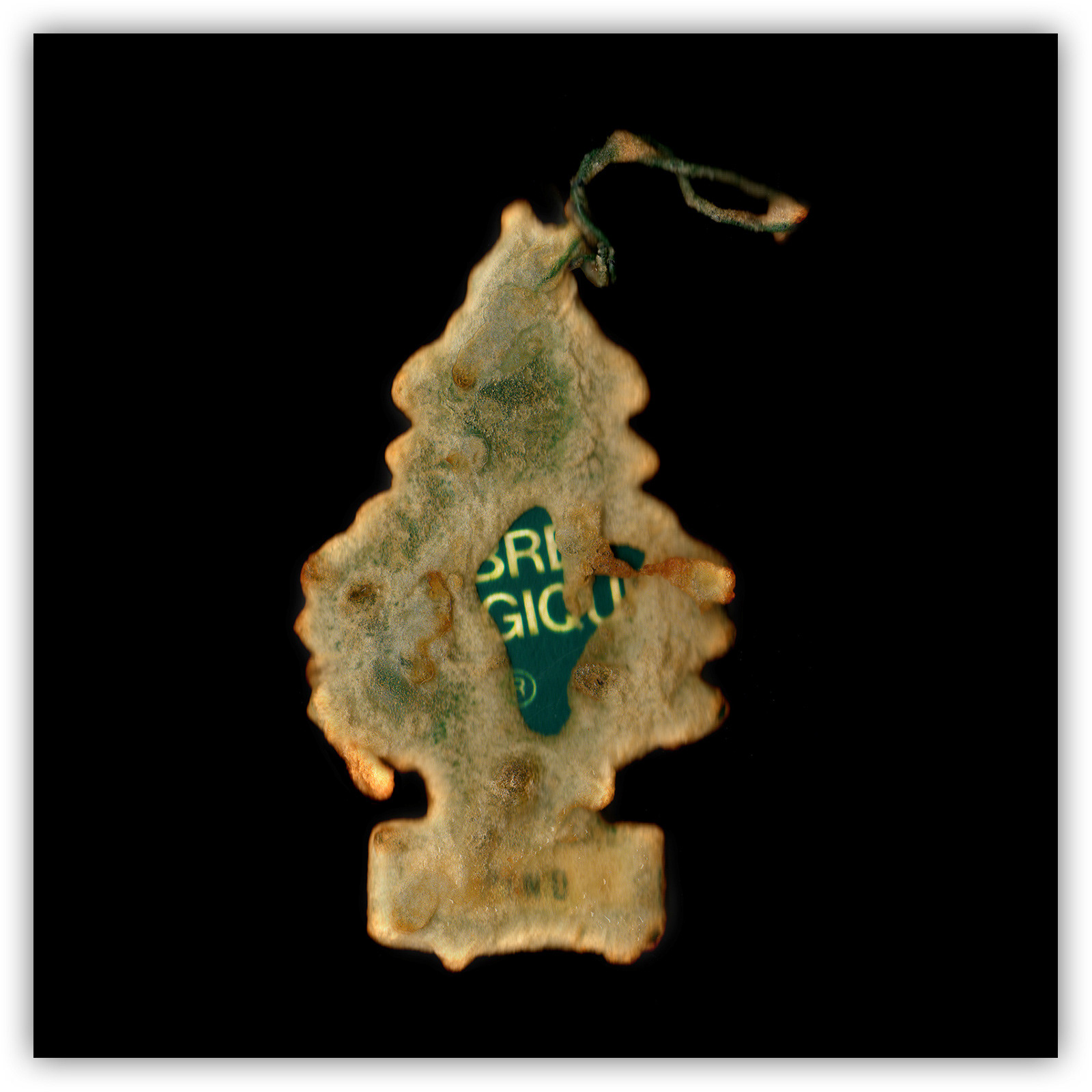 Mirko Credito Arbre-Magique-fried-art-Mirko-Credito-Giclée-Print