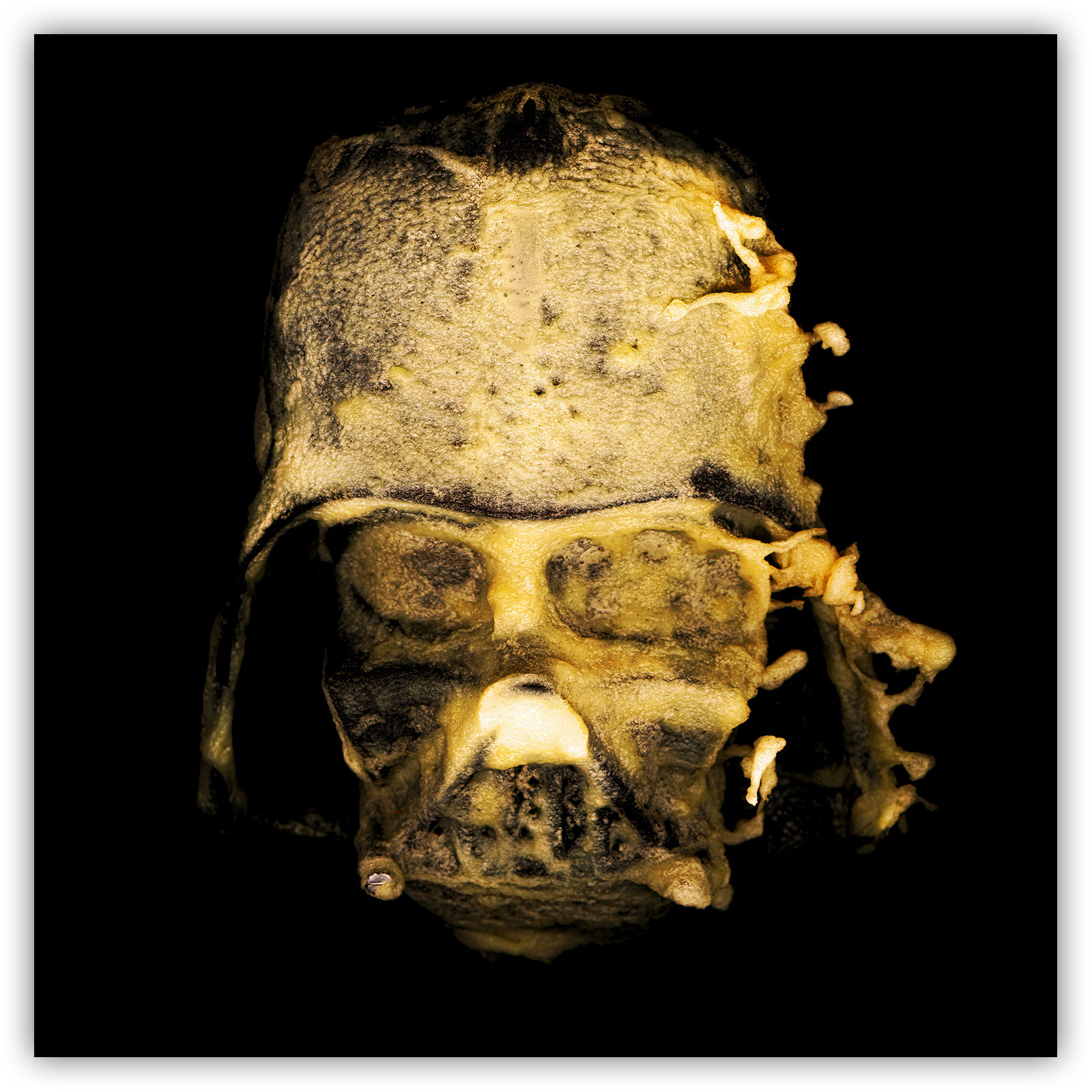 Mirko Credito Dart-Vader-Starwars-fried-art-Mirko-Credito