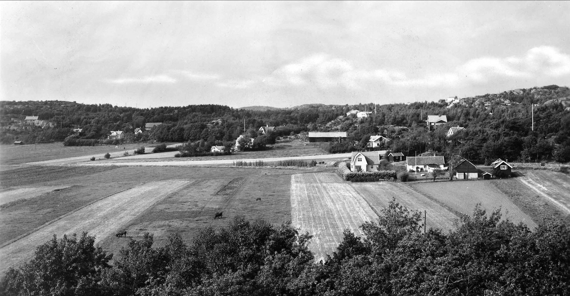 Kyviks ängar. Här ligger Kullaviksskolan idag.