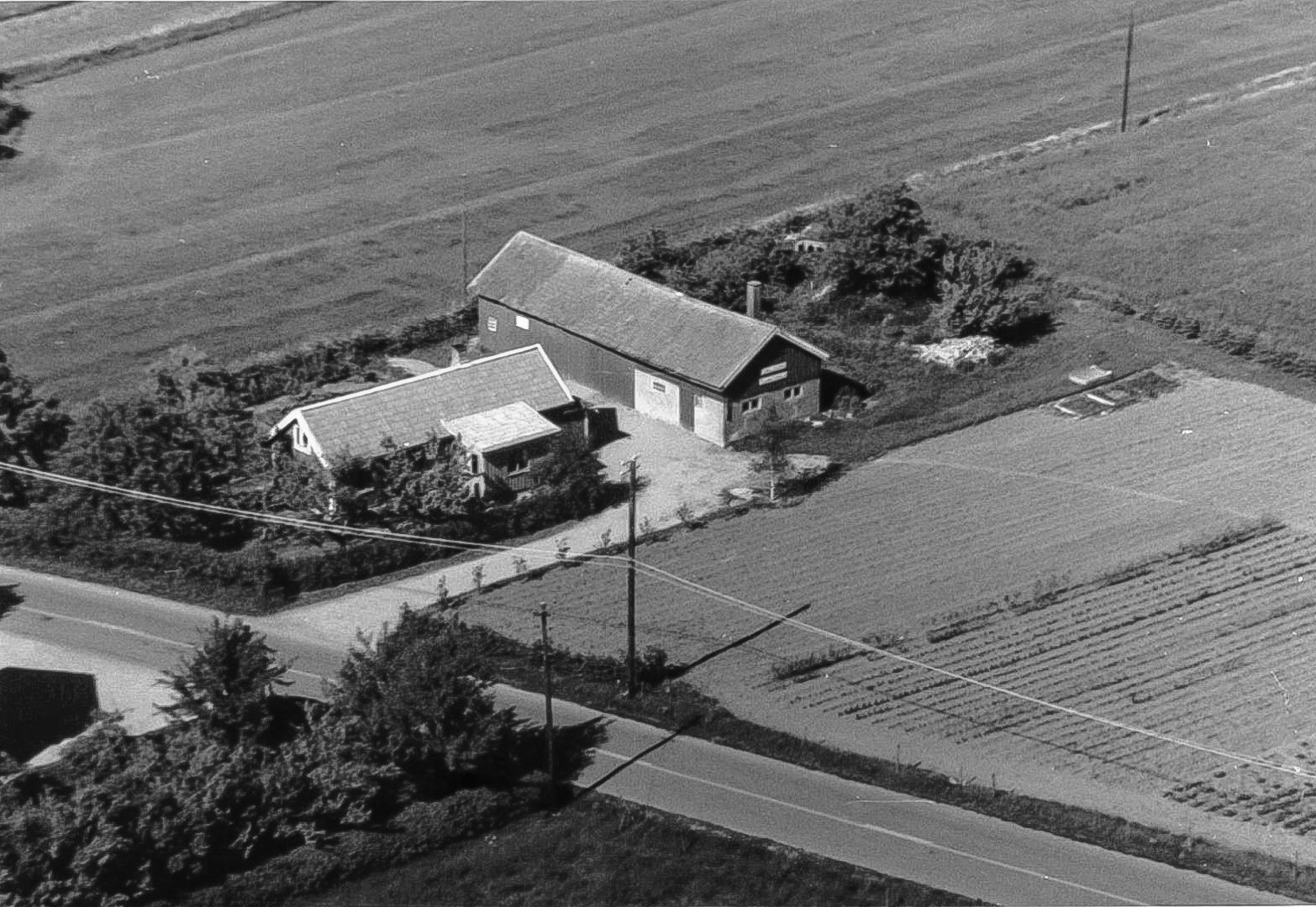 Ivan Nilssons plantskola 1957.
