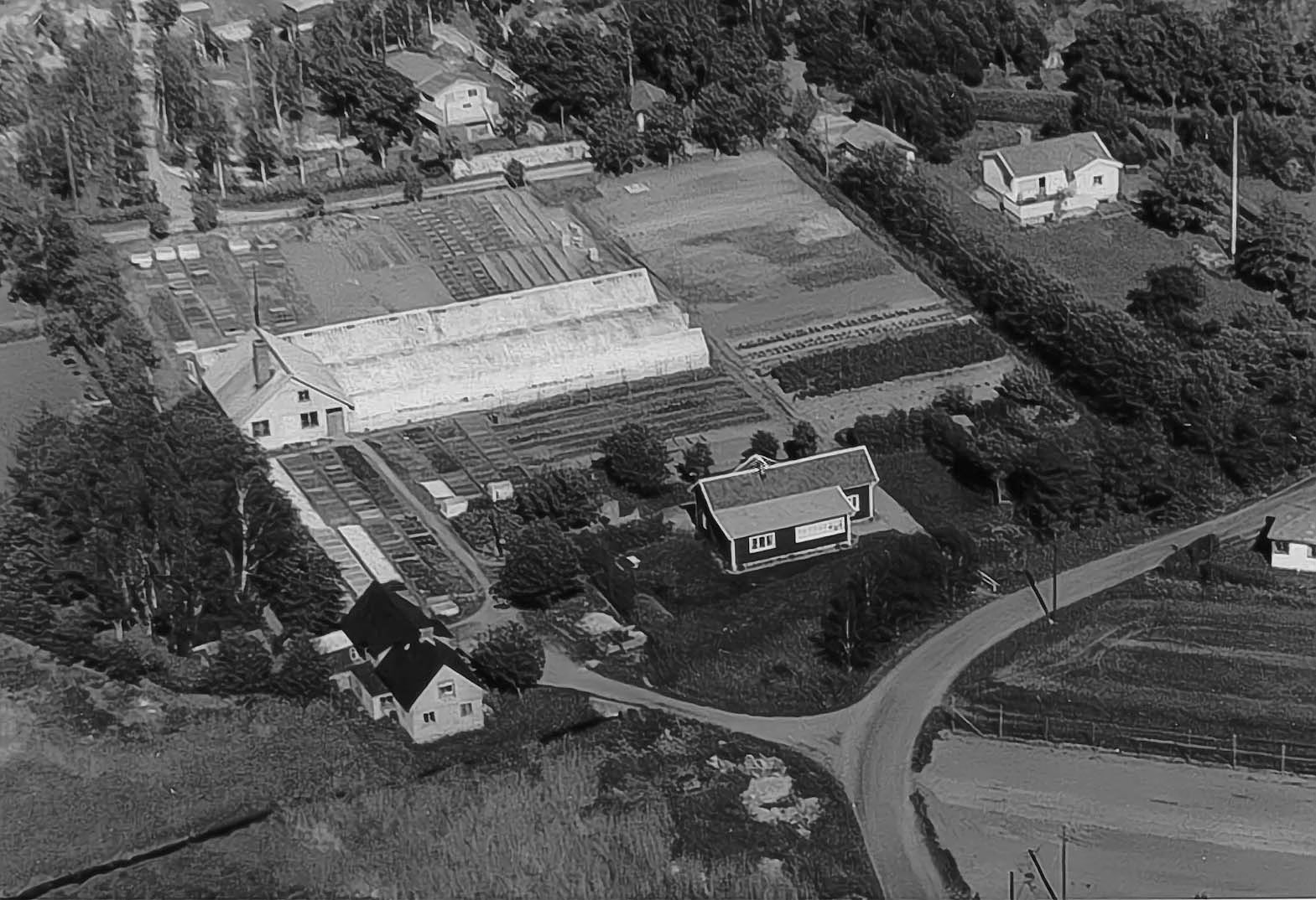 Anderssons handelsträdgård vid Torredsvägen. Flygbild 1957.