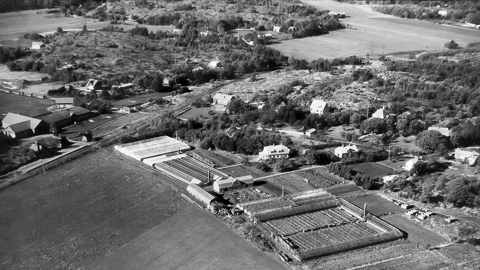 Maleviks handelsträdgård flygbild 50-tal