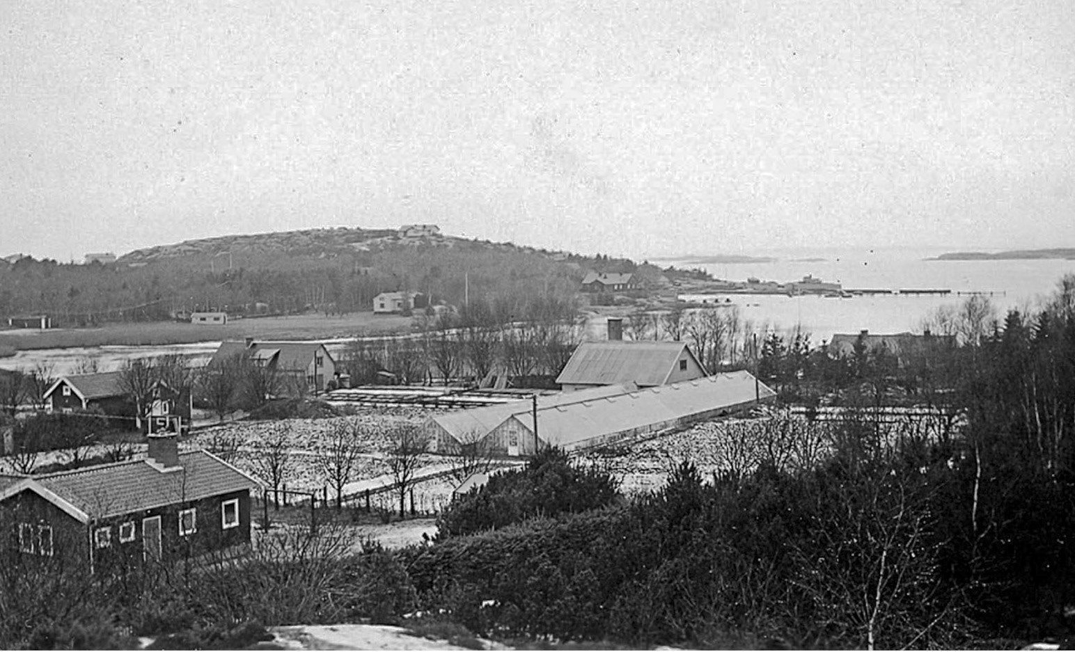 Klintens handelsträdgård. 40-tal.