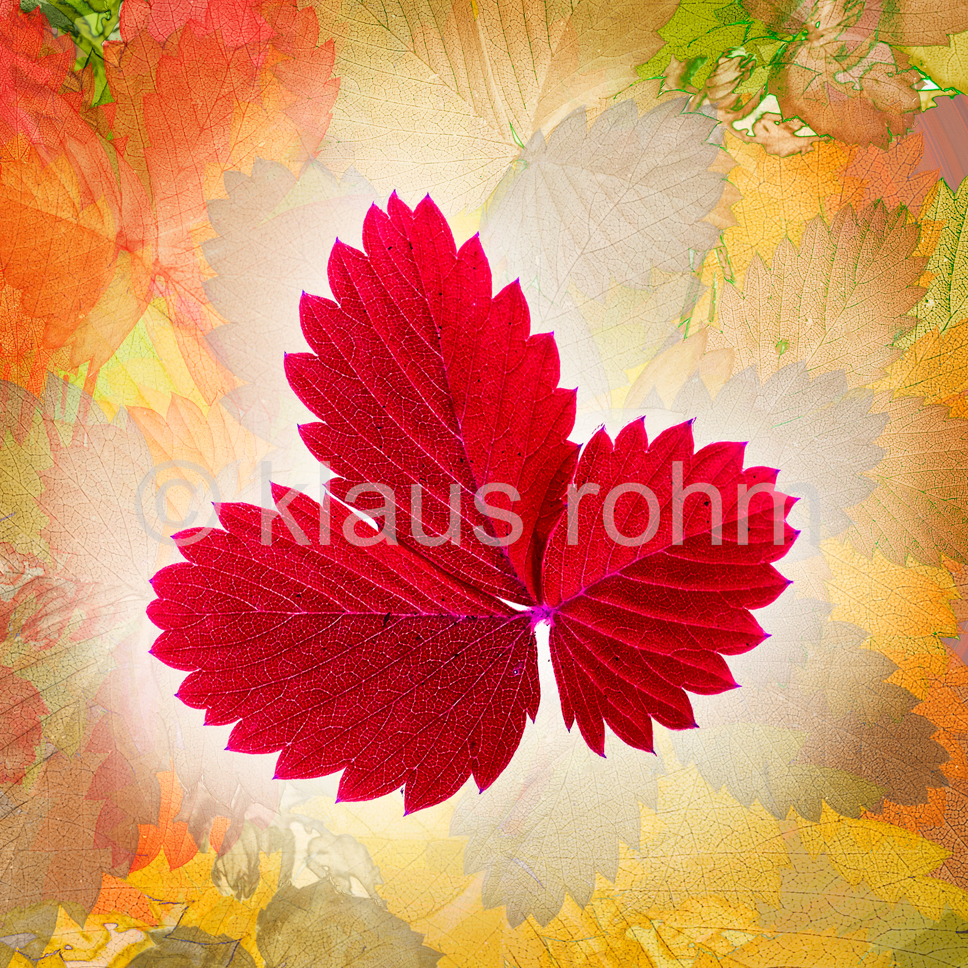 Herbst