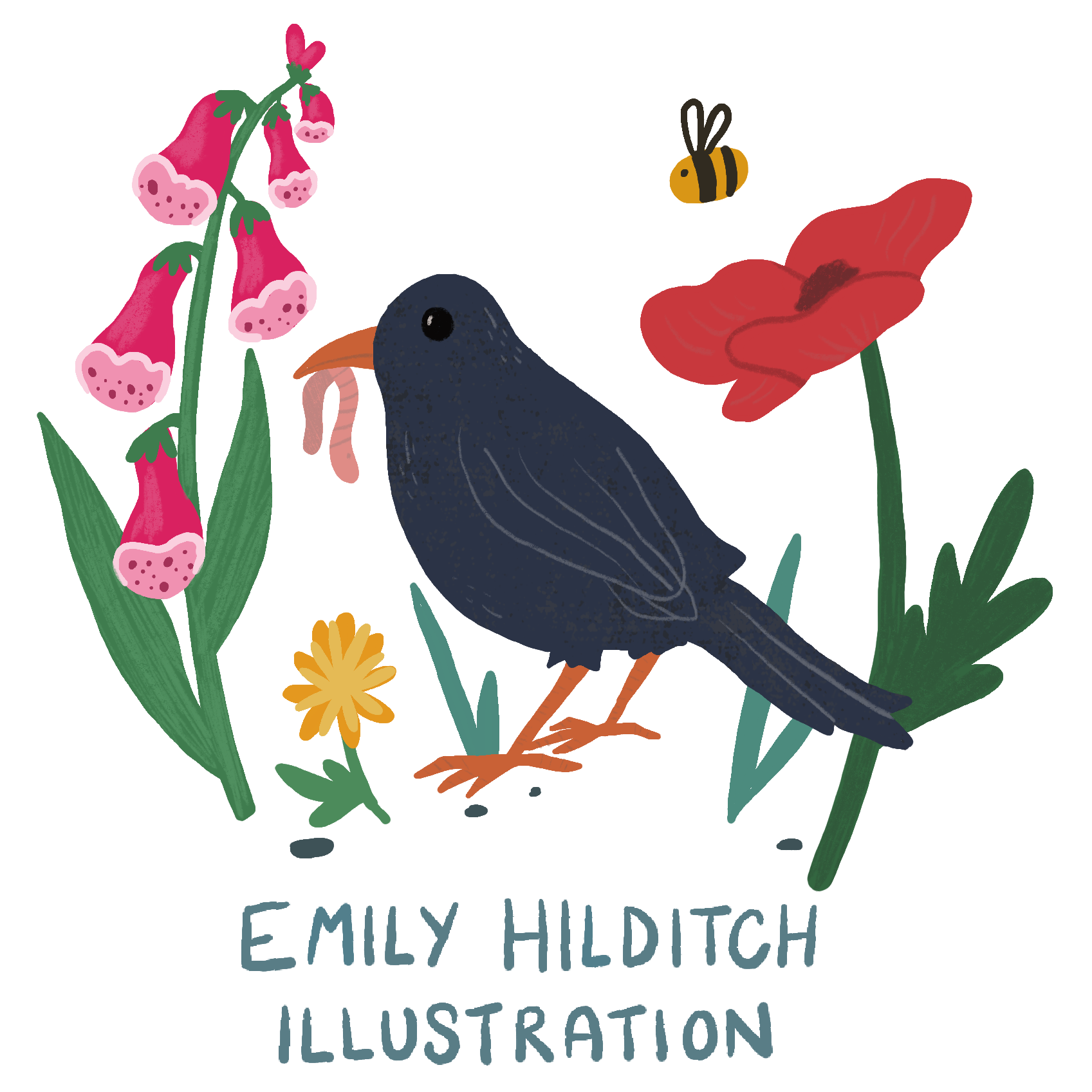 Emily Hilditch