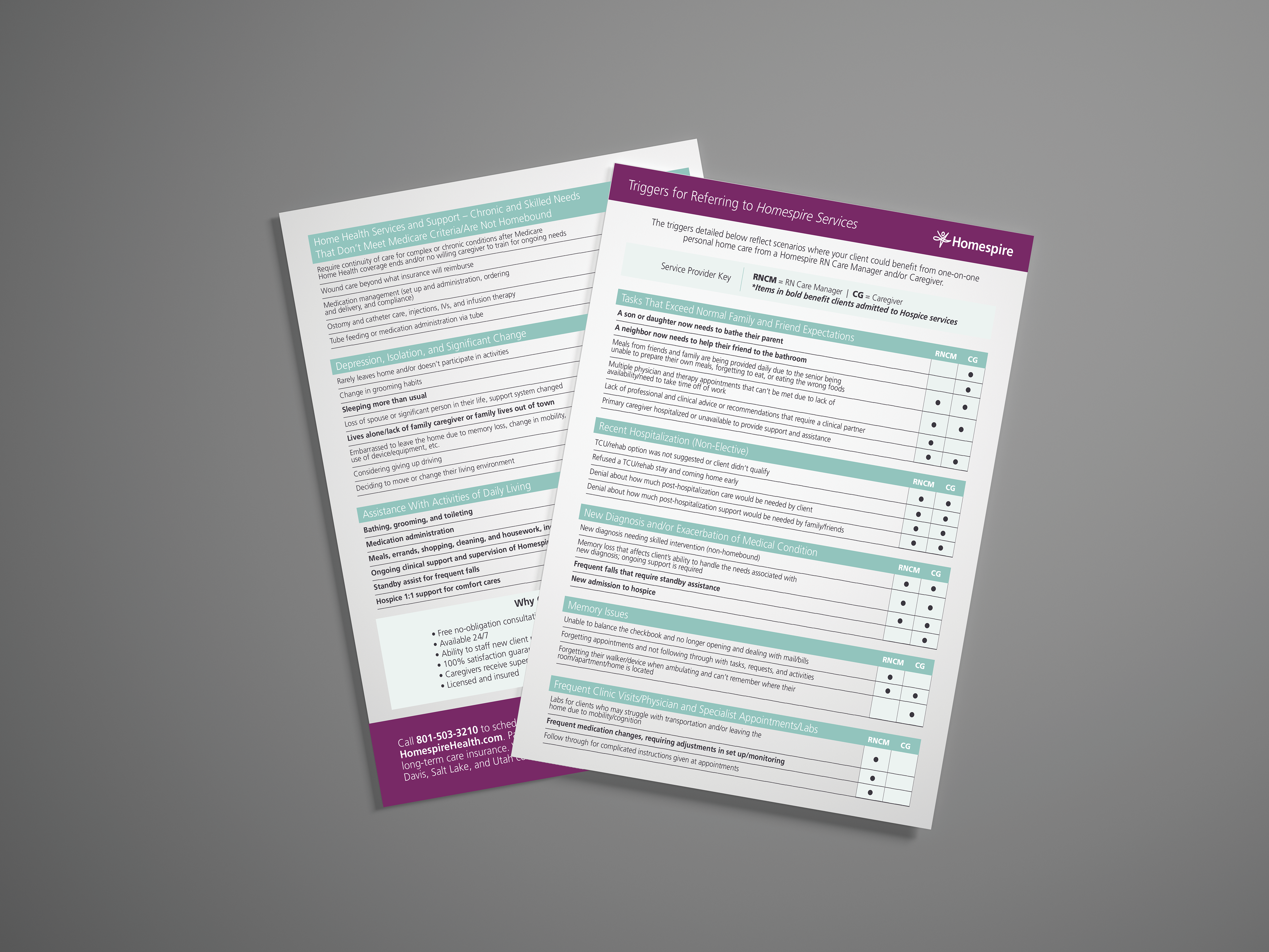 Homespire is a Lifespark owned company based in Utah that we did various different flyers for.