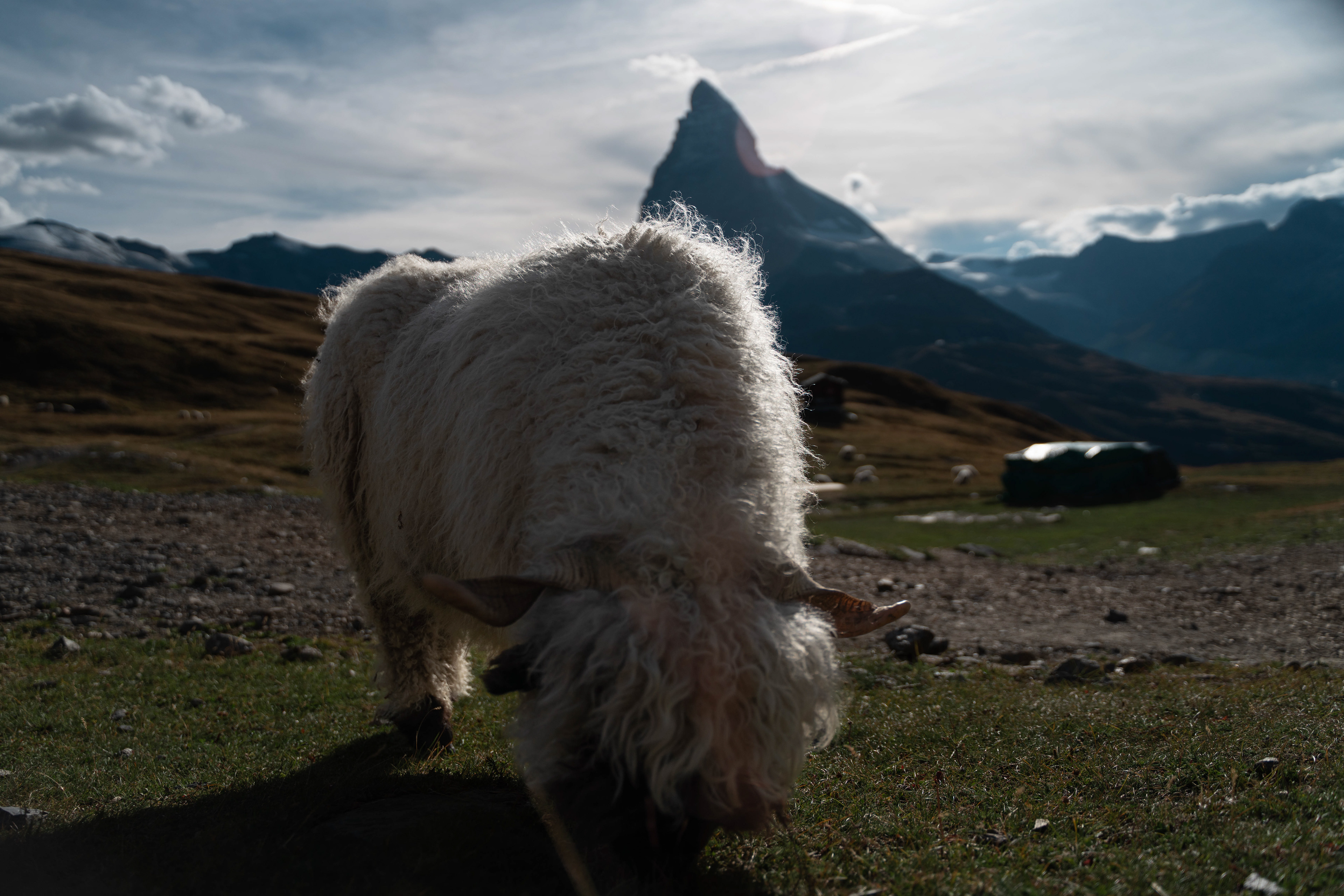 Zermatt