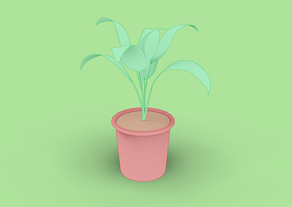 Plant