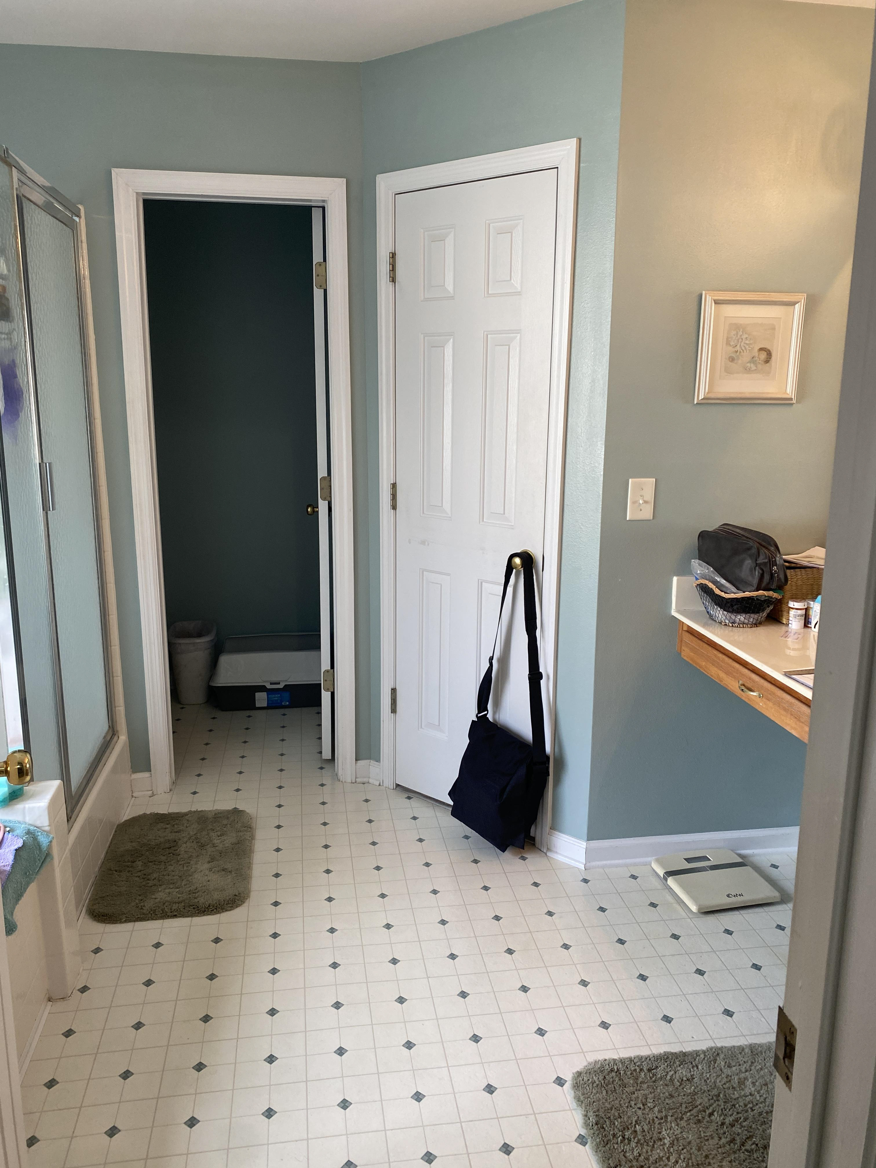 Remove jacuzzi tub, add linen closet