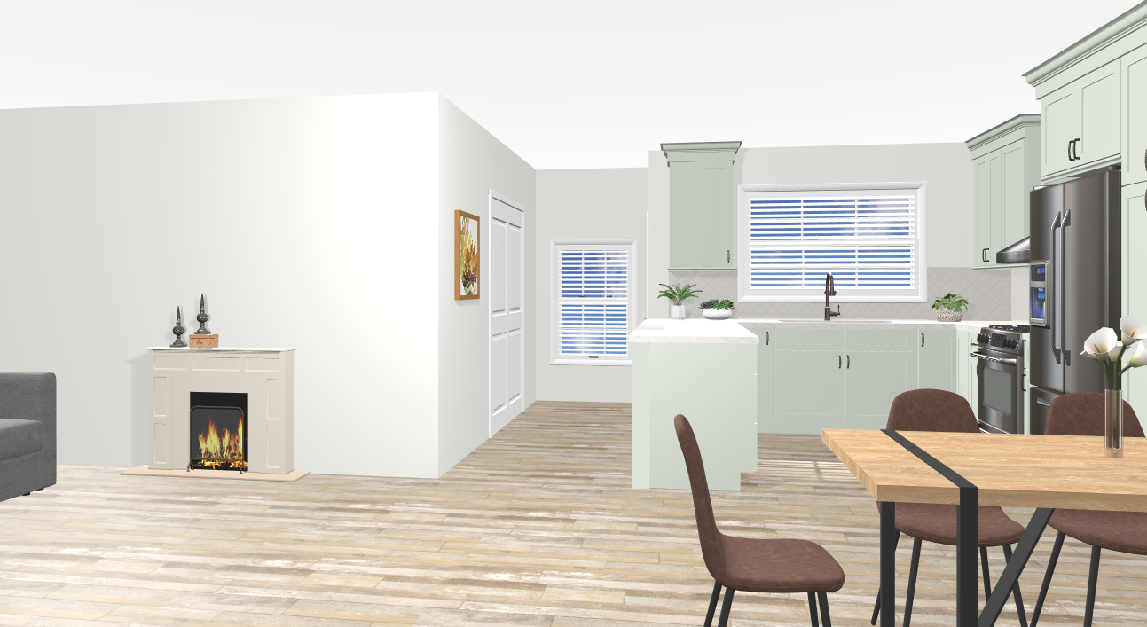 Entire Home Remodel