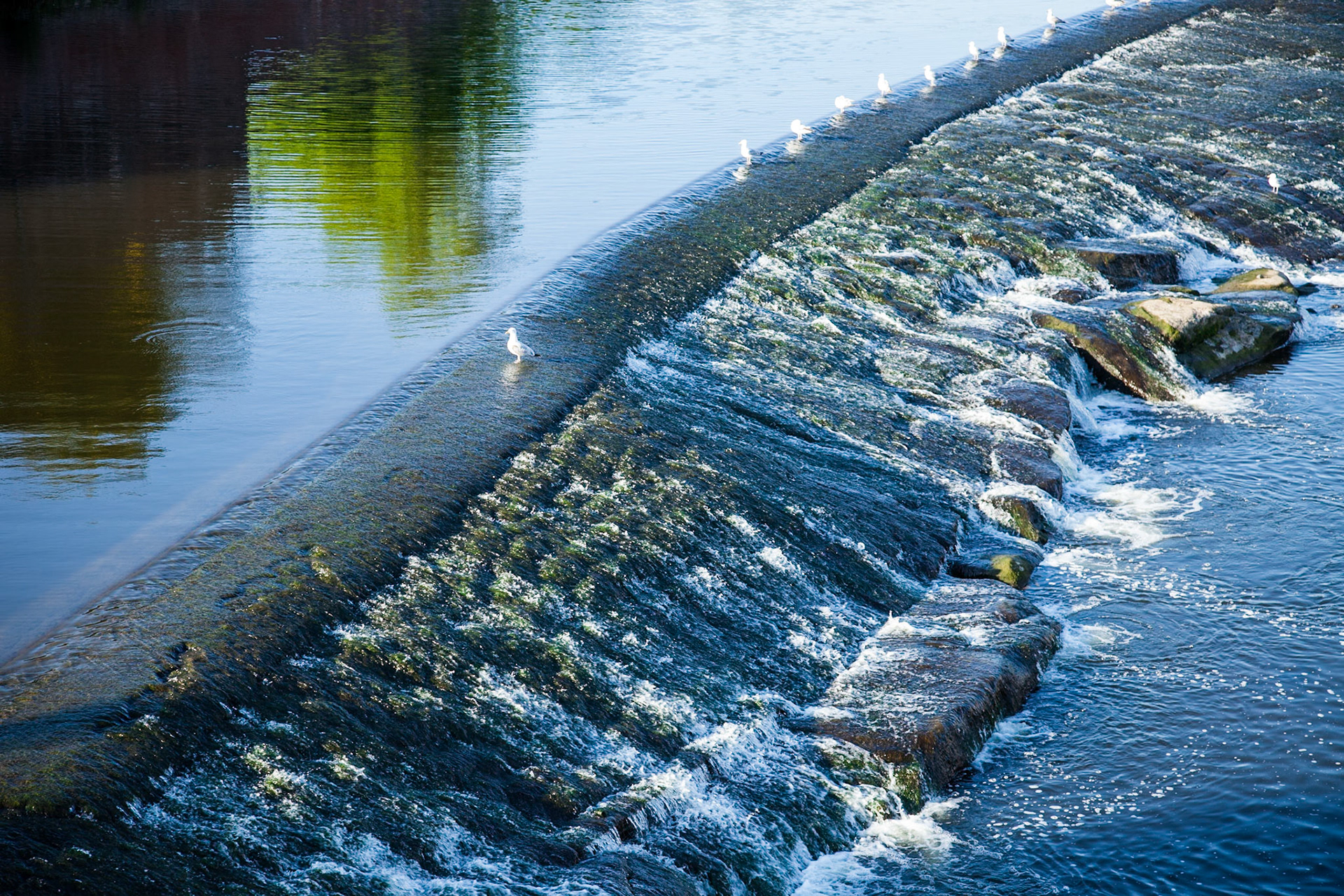 Chester Weir