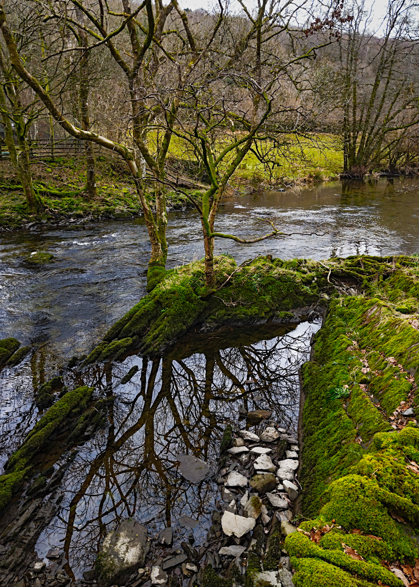 River Kent, Staveley, Cumbria
