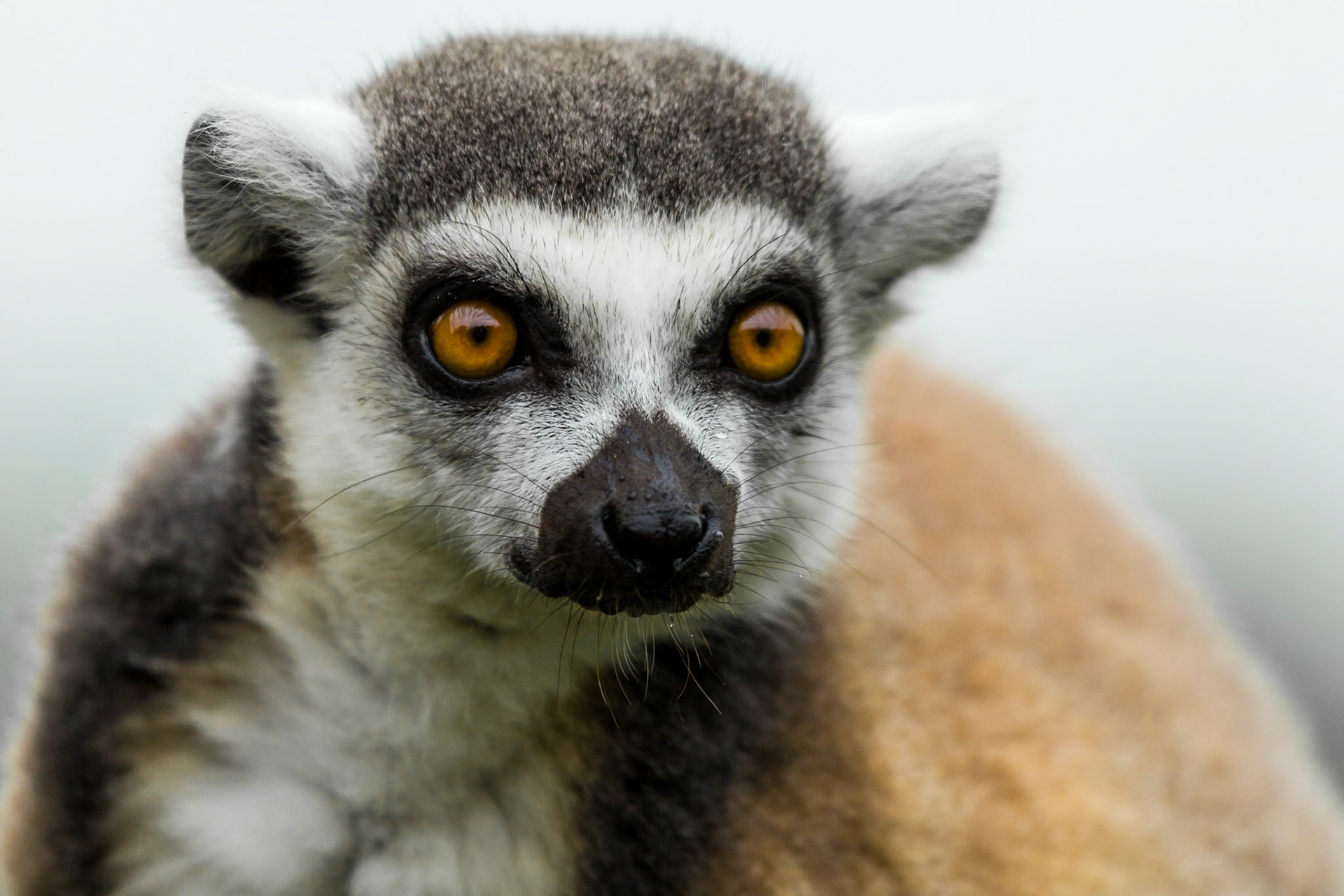Longleat Safari and adventure Park