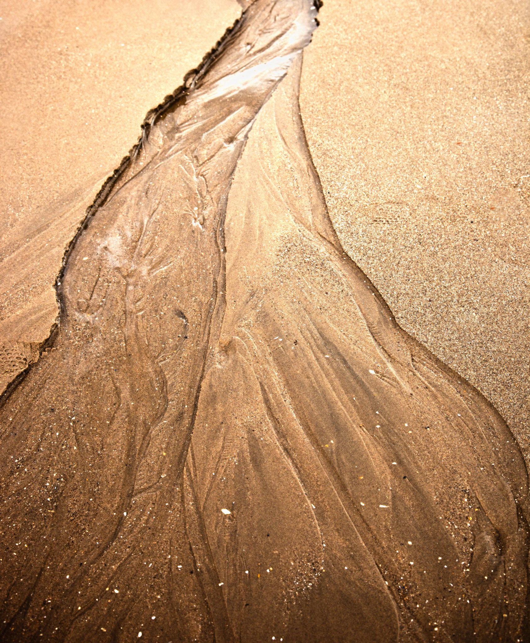 Sand Streak