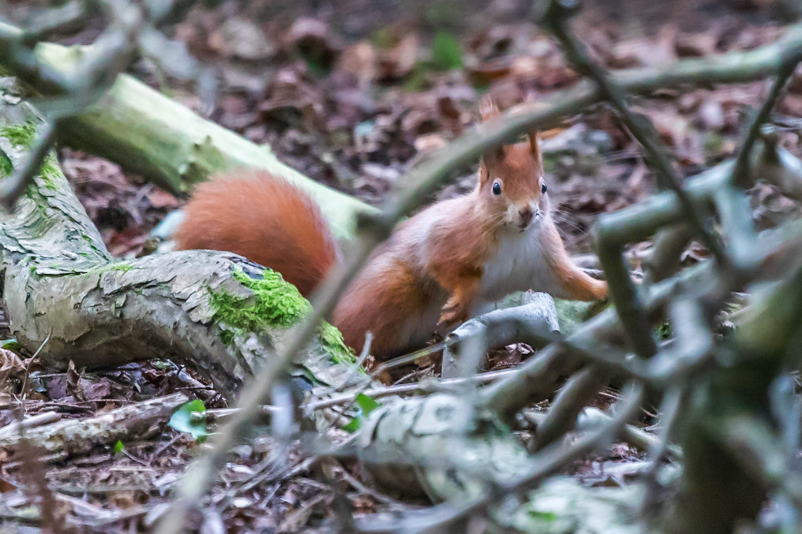 Penrhos Coastal Park