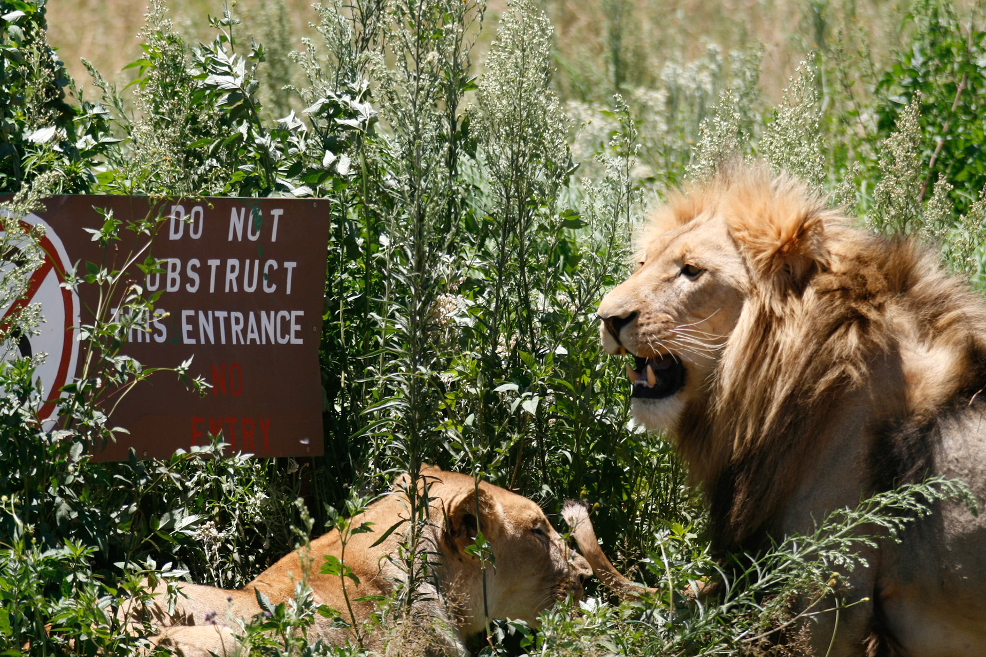 If you want to obstruct this entrance you can