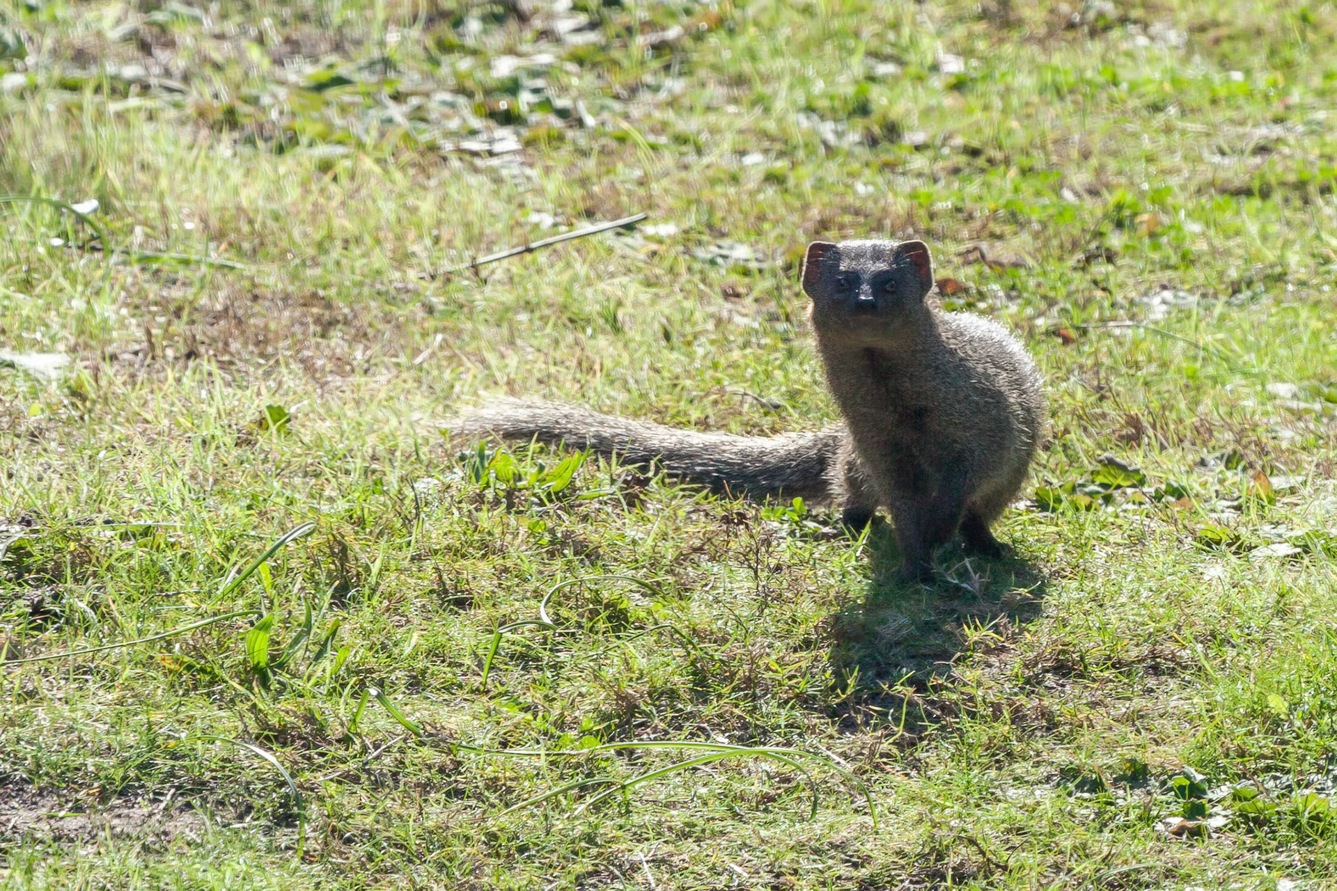 In and around Cape St Francis South Africa
