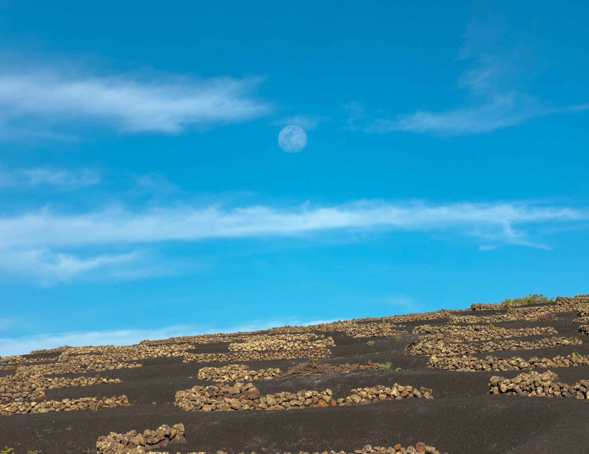 Evening Moon over Lanzarote Vineyards